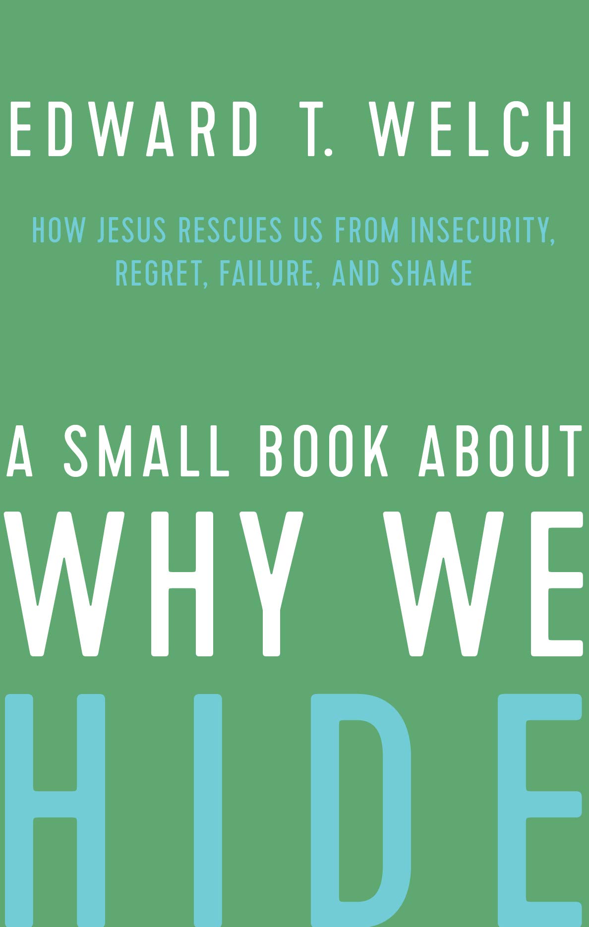 A Small Book about Why We Hide book cover