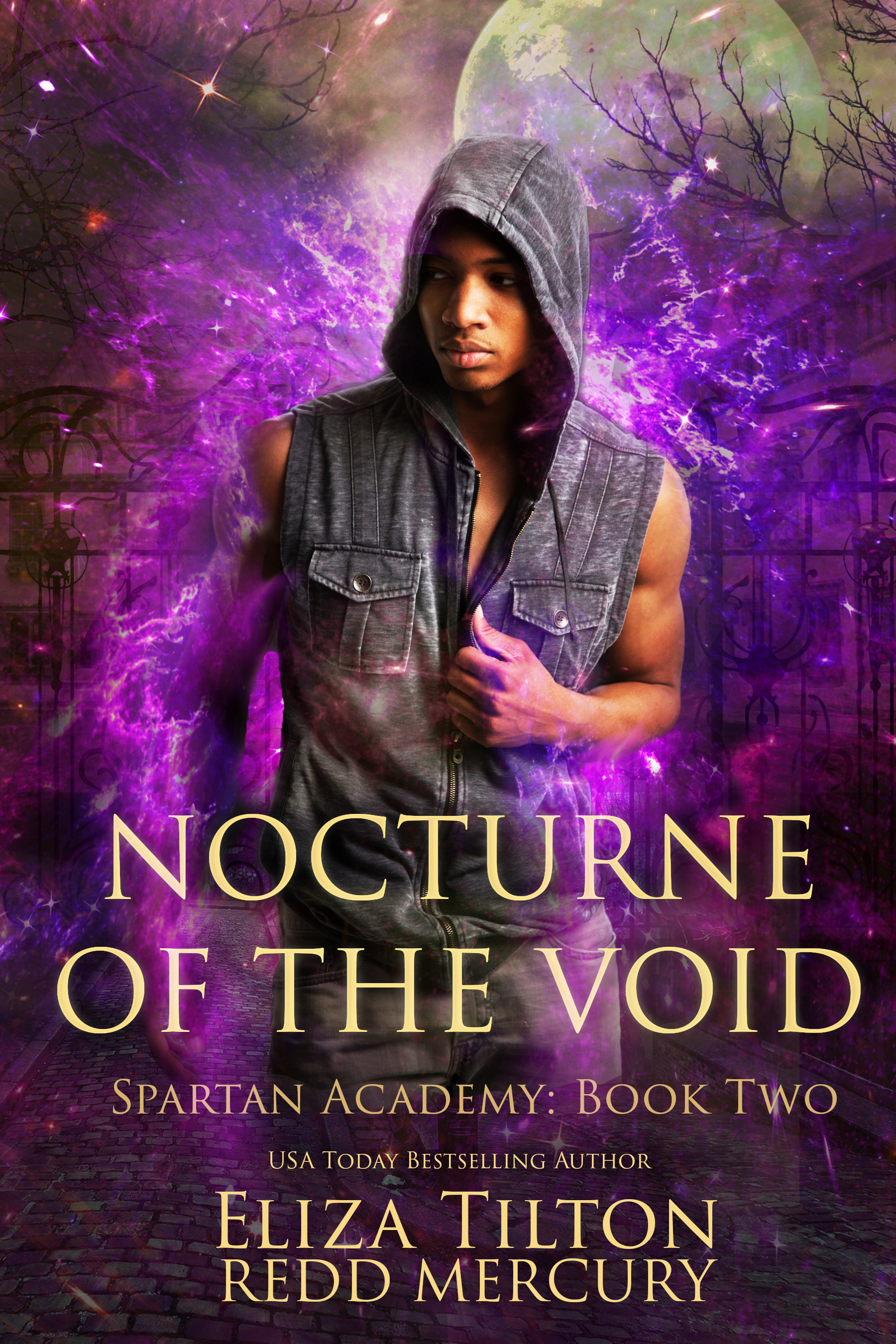 Spartan Academy book cover 2