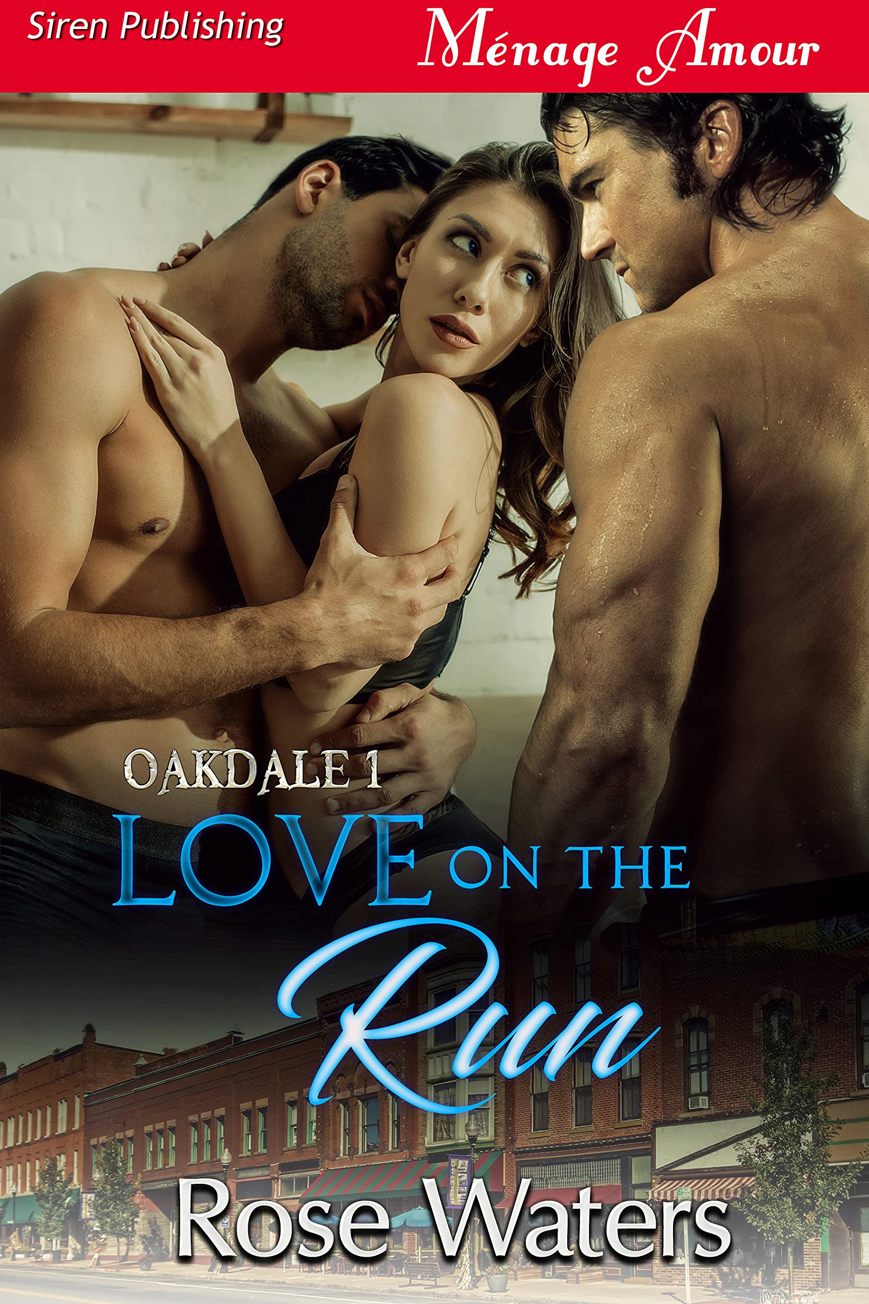 Love on the Run [Oakdale 1]