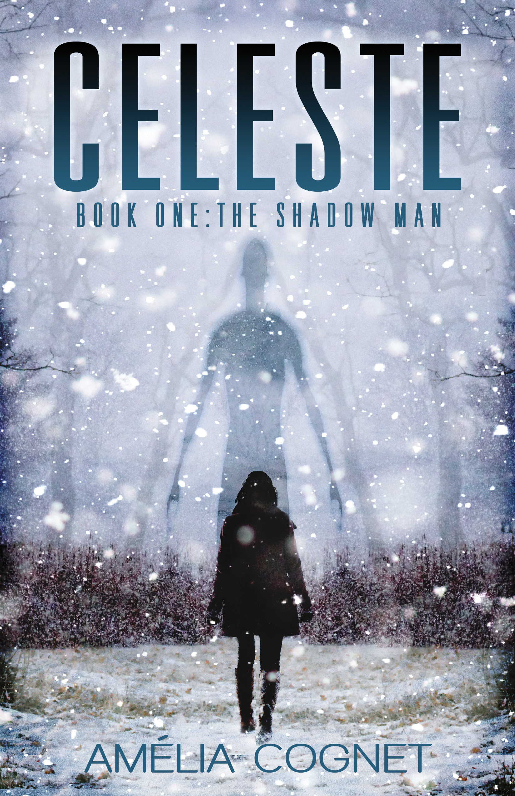 The Shadow Man