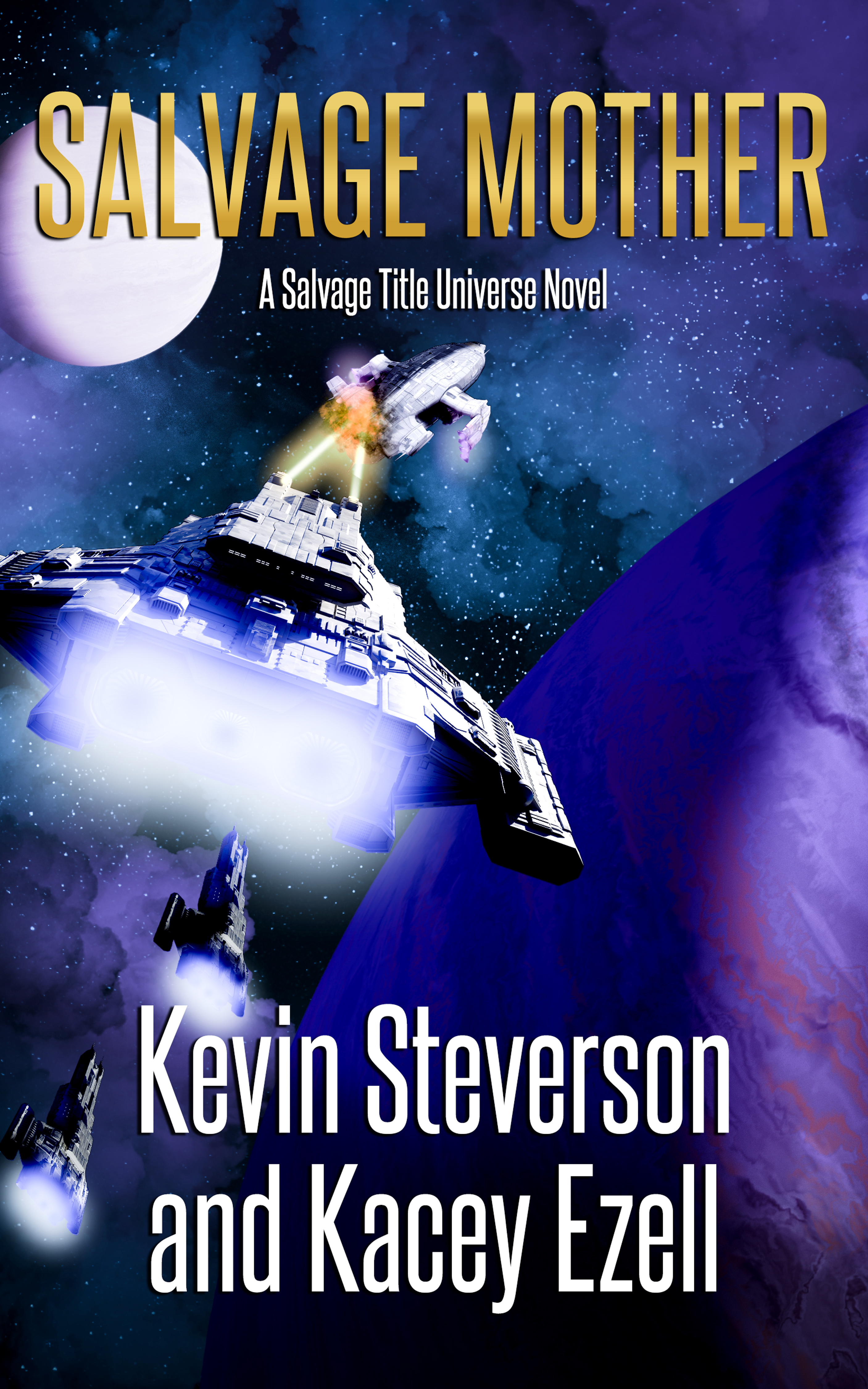 Salvage Mother book cover