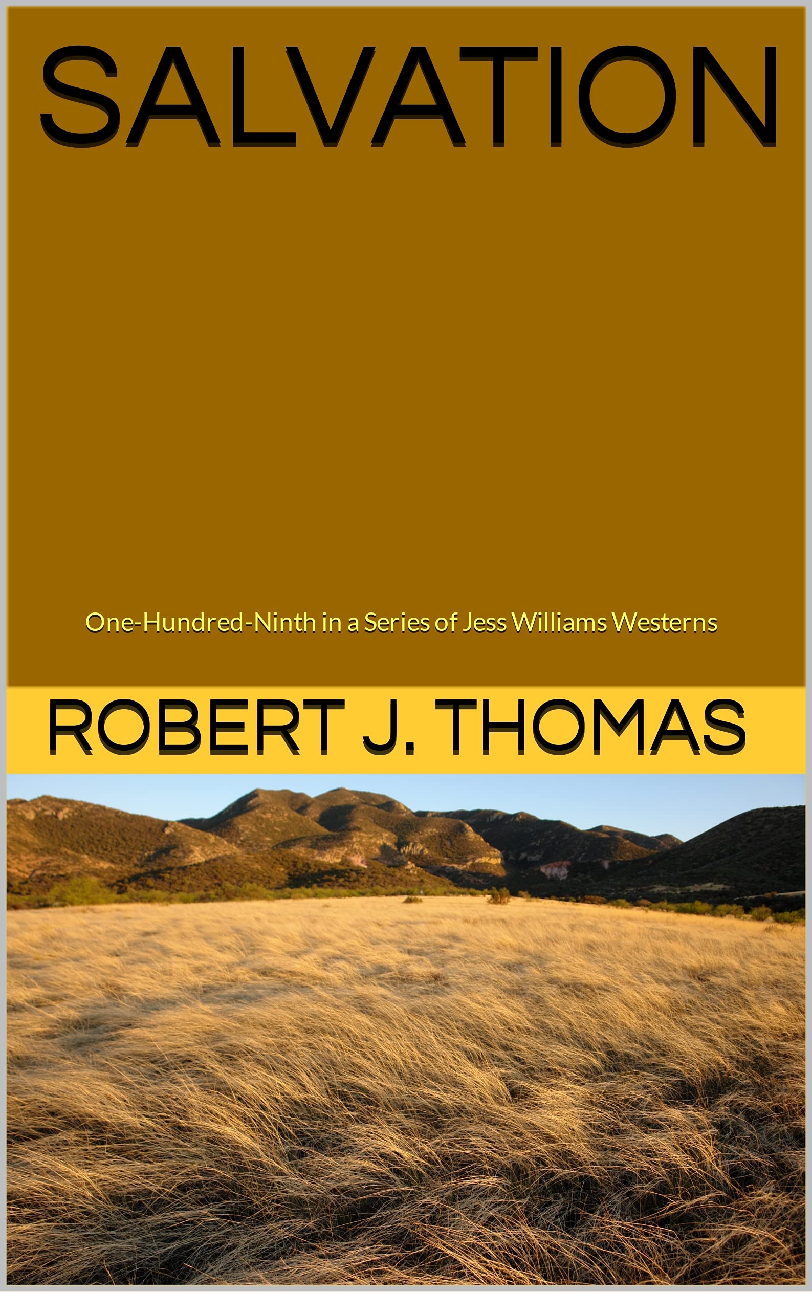 Salvation book cover