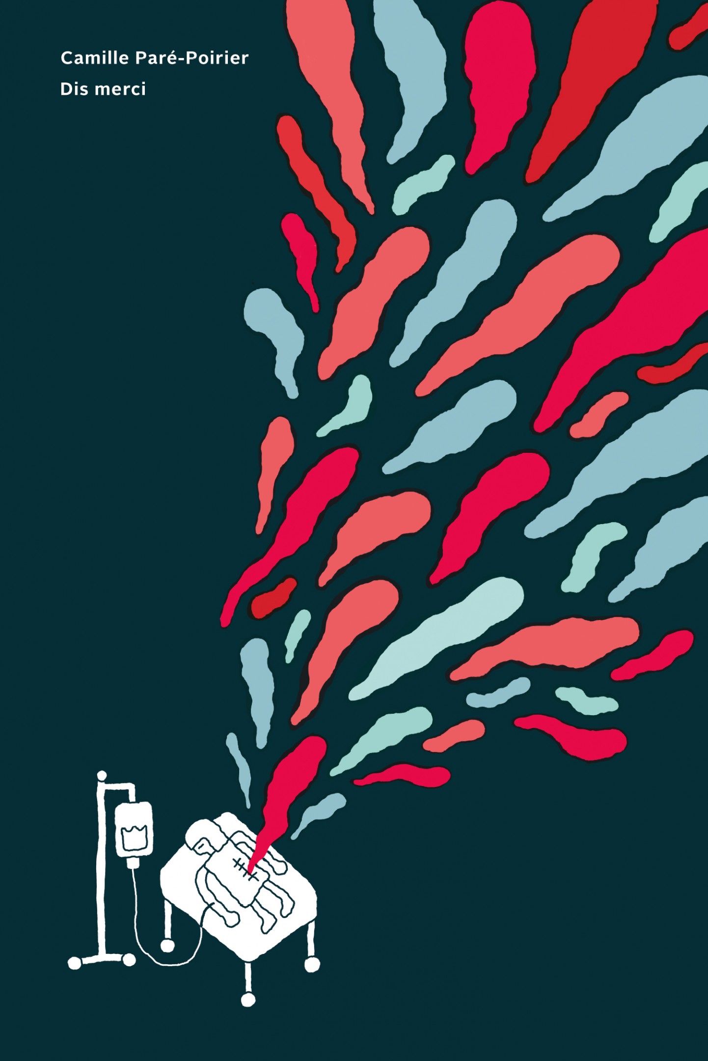 Dis merci book cover