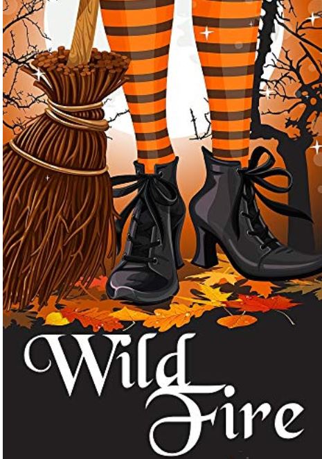 Wild Fire book cover