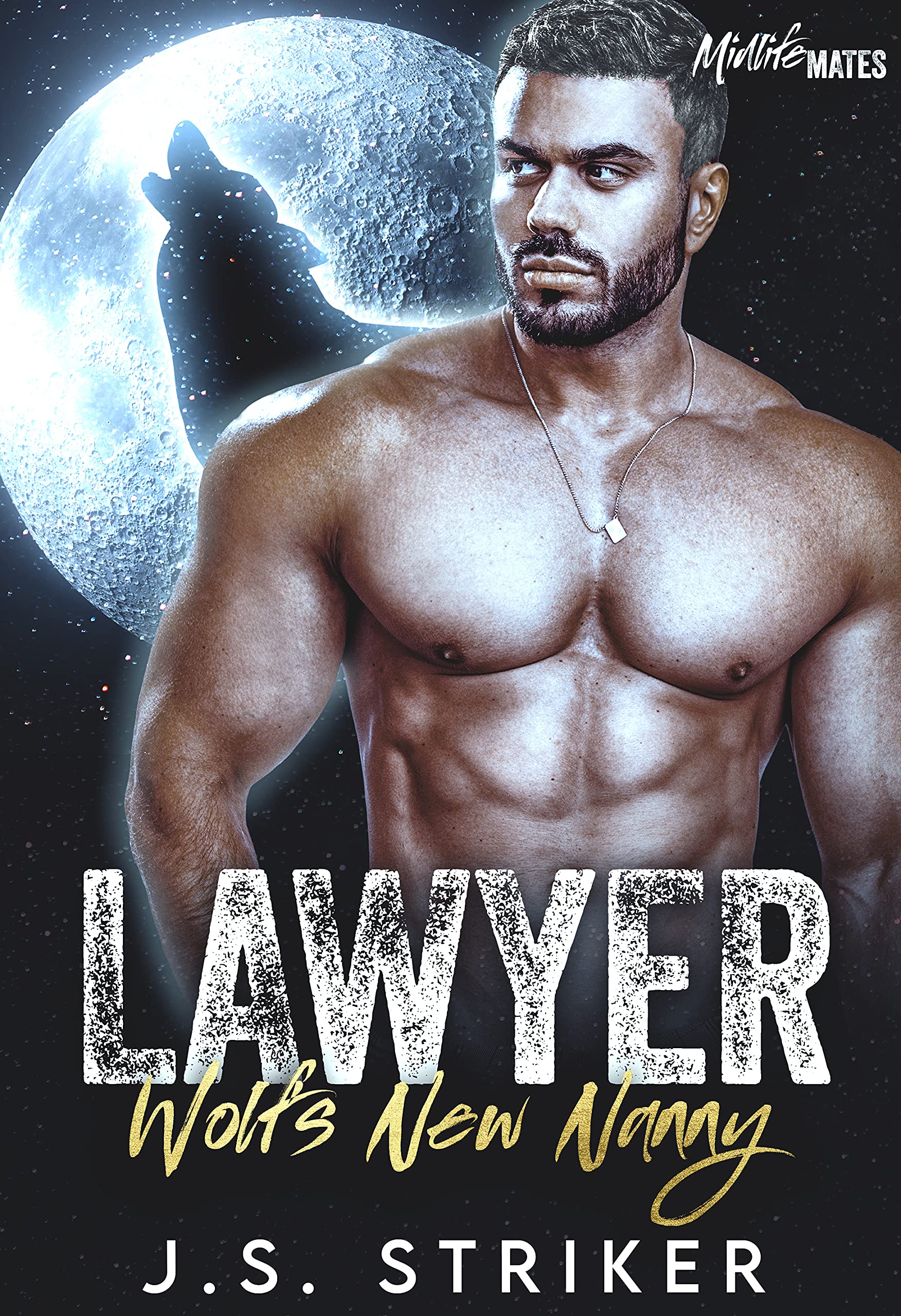 Lawyer Wolf's New Nanny book cover