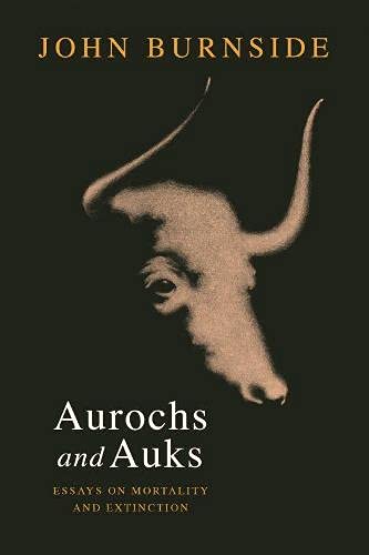 Aurochs and Auks book cover