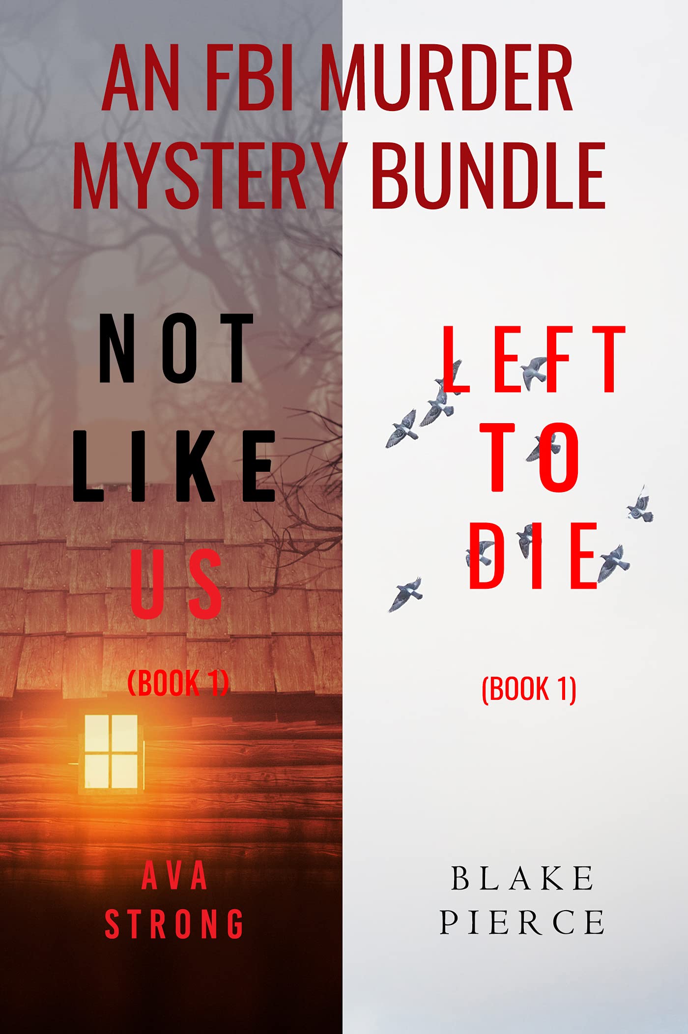 An FBI Murder Mystery Bundle book cover