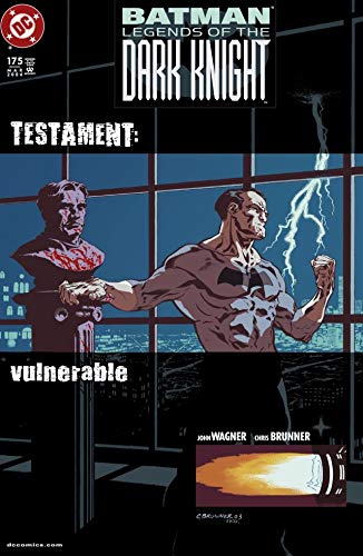 Batman book cover