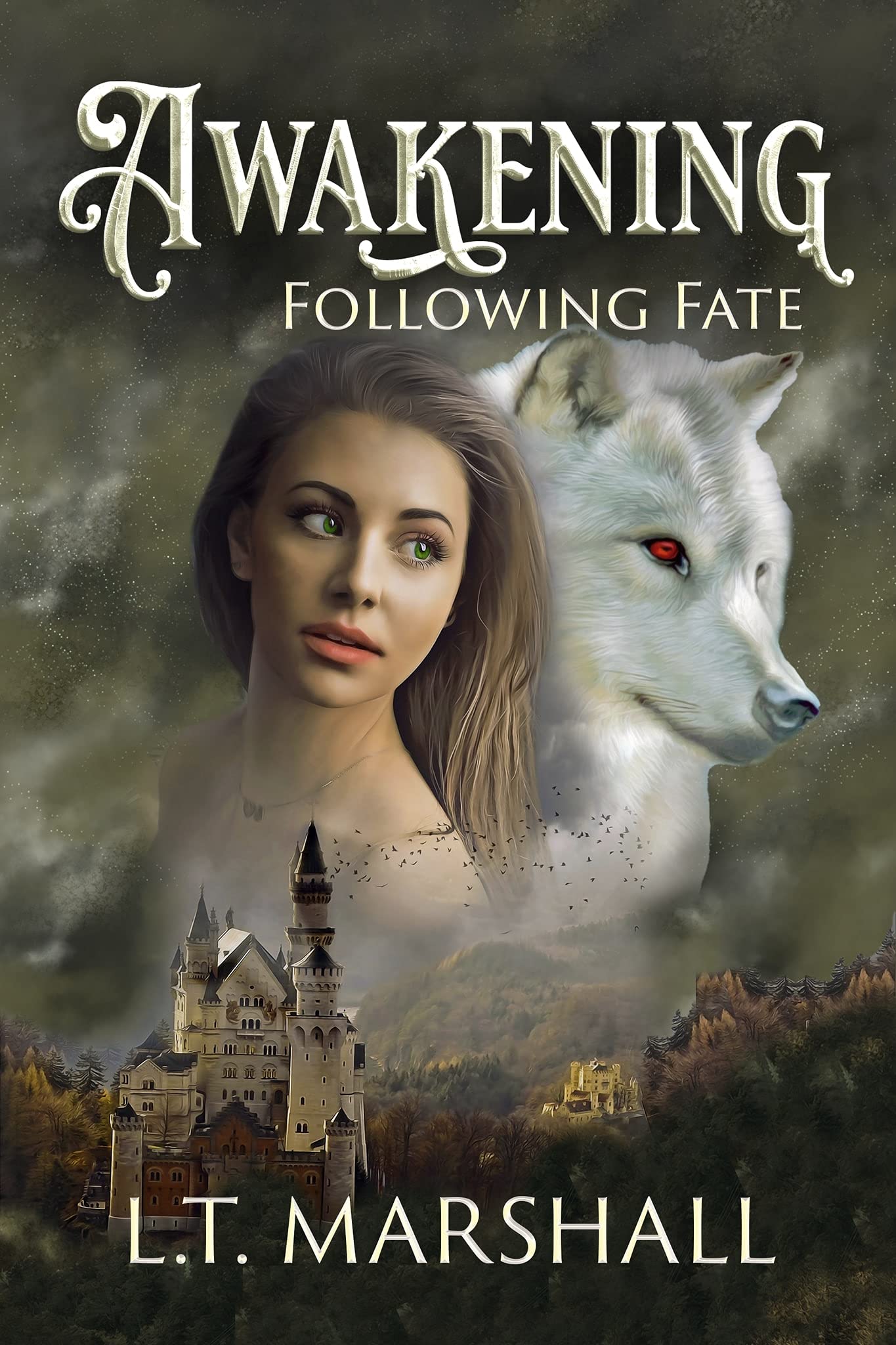 Awakening: Following Fate