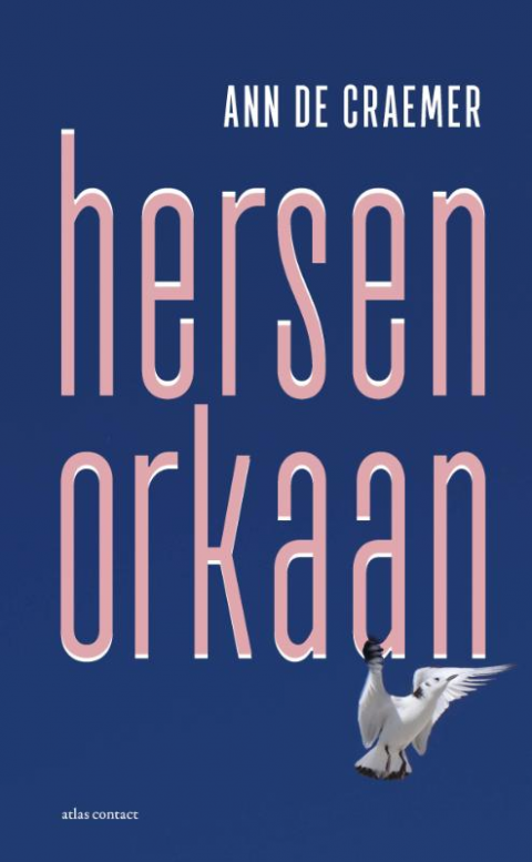 Hersenorkaan
