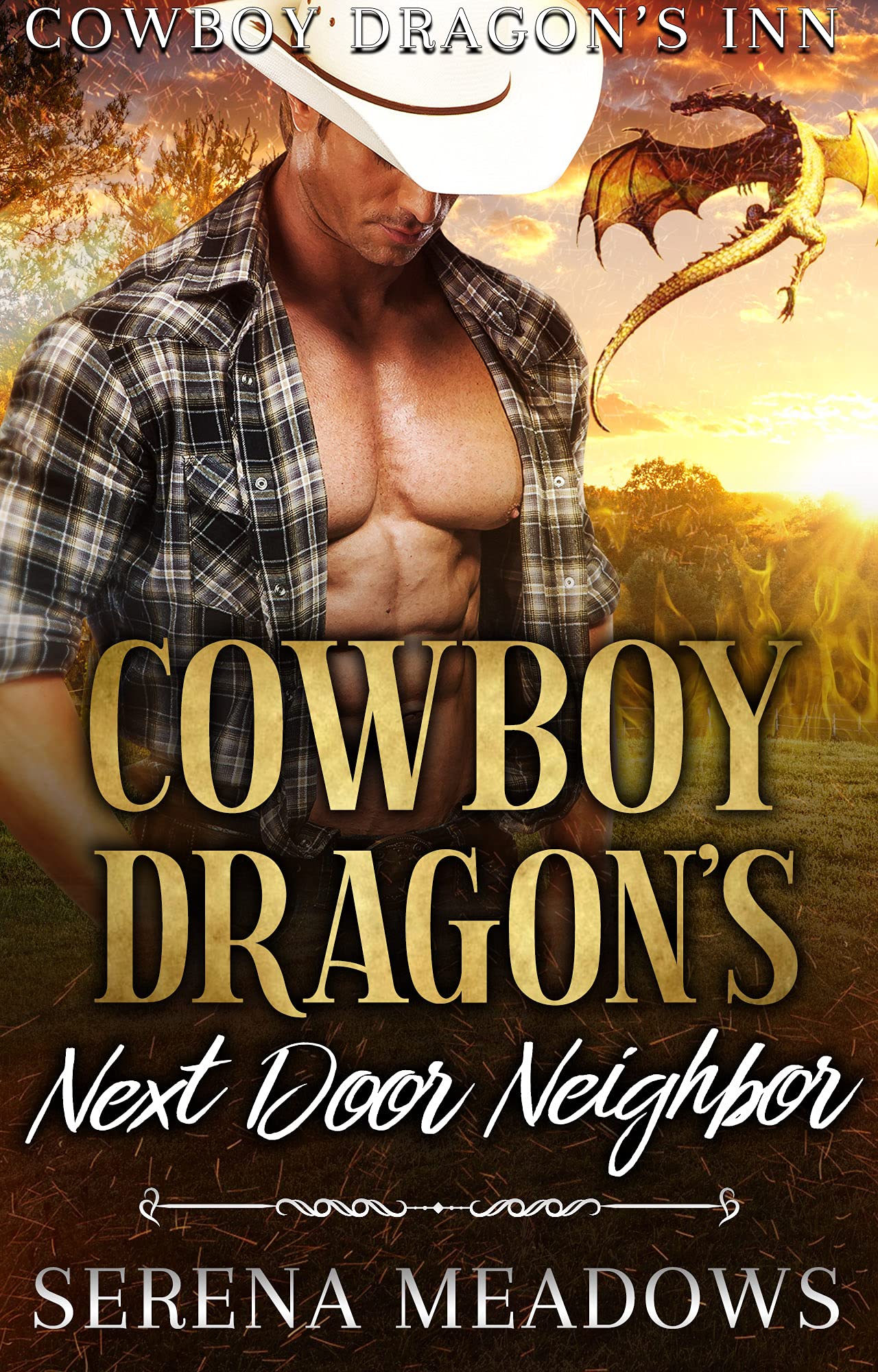 Cowboy Dragon's Next Door Neighbor
