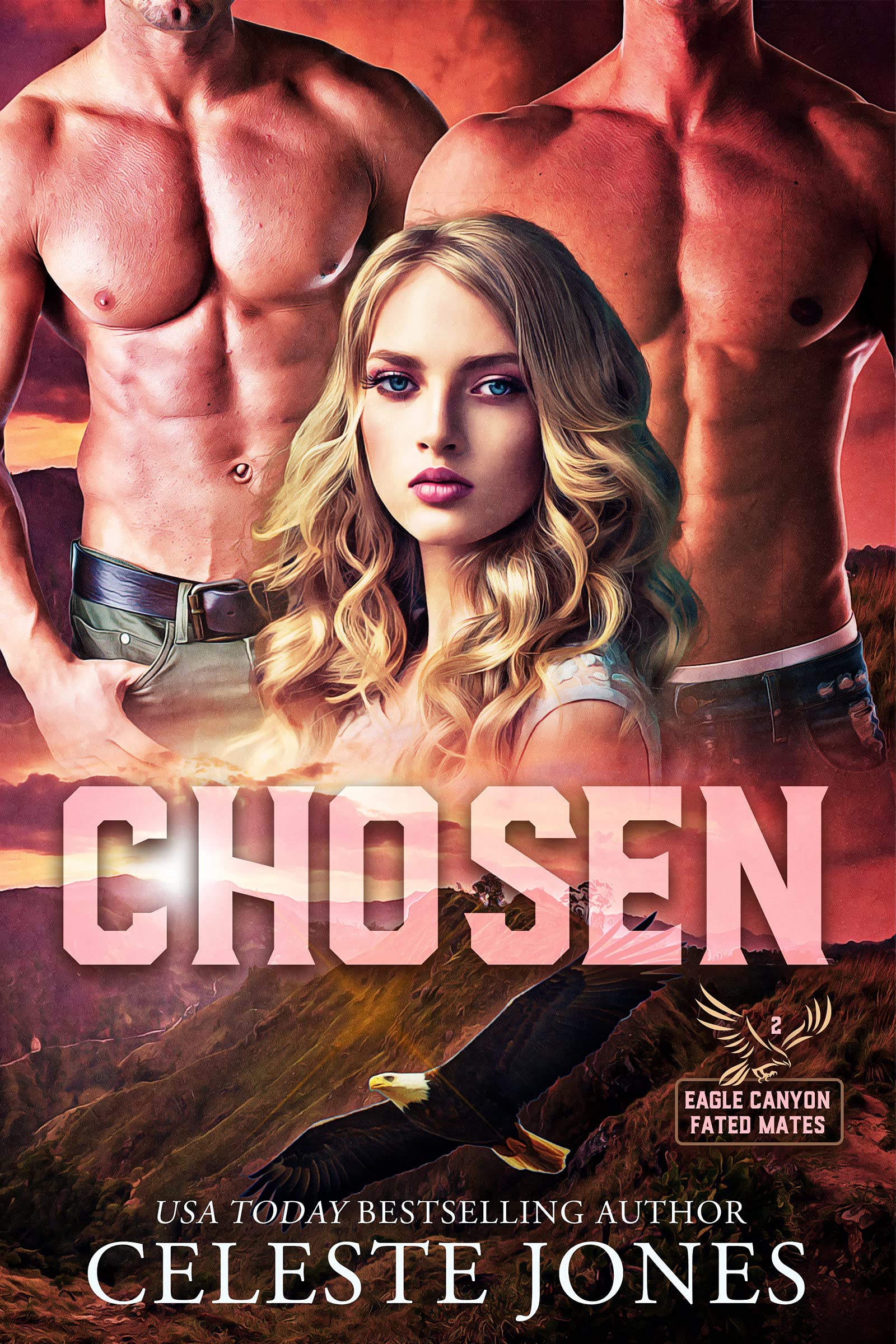 Chosen book cover