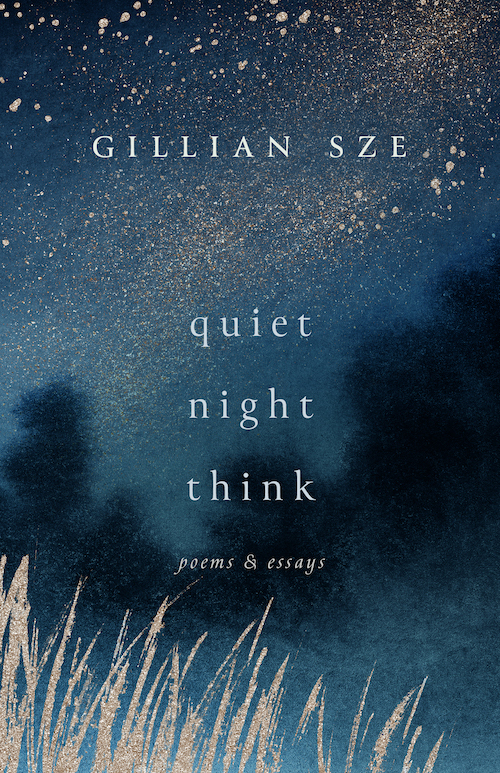 Quiet Night Think book cover