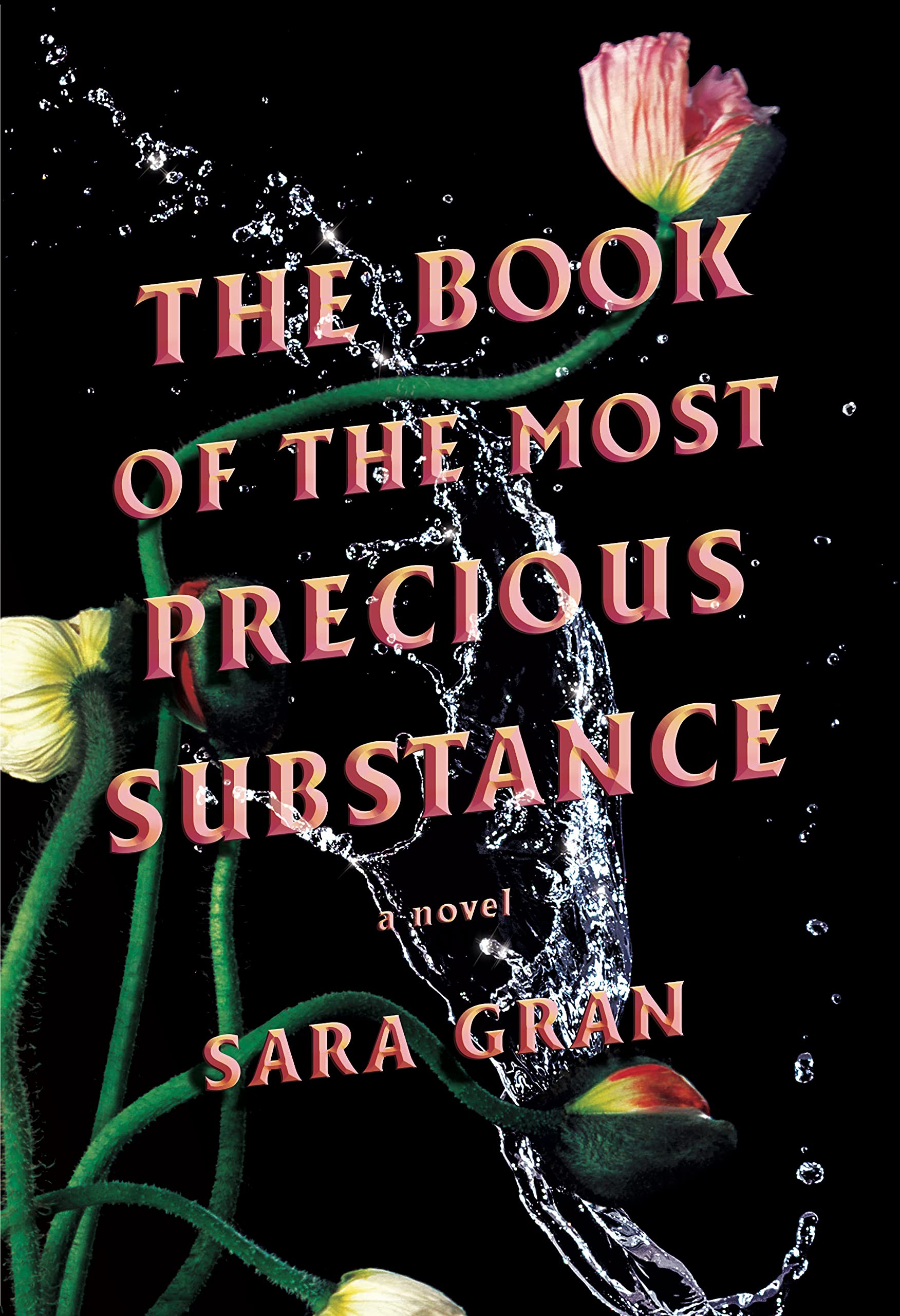 The Book of the Most Precious Substance