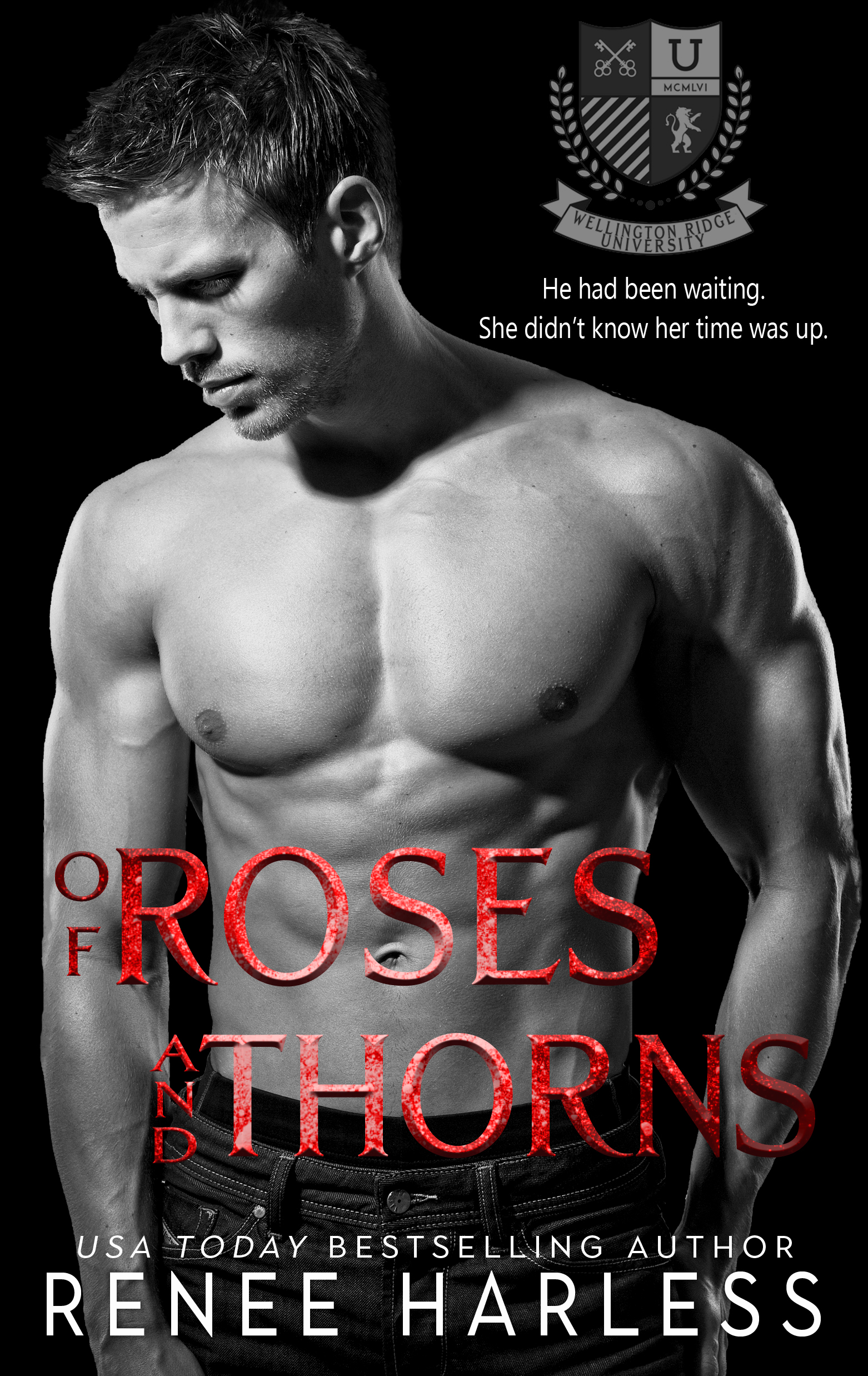 Ridge Rogues book cover 3