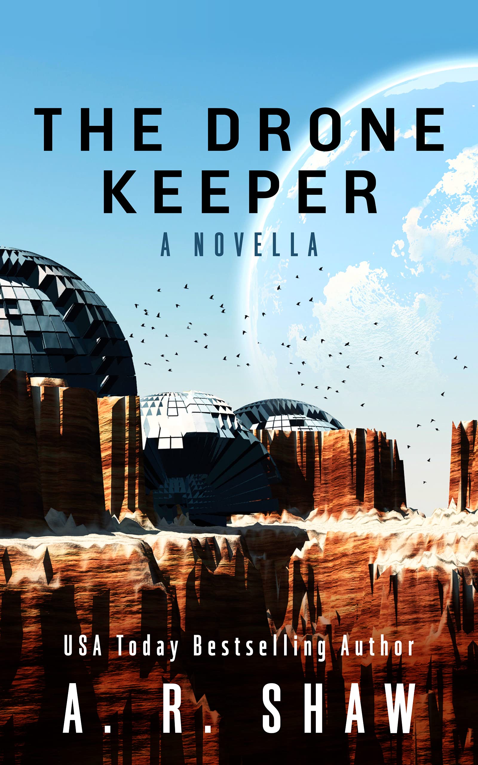 The Drone Keeper book cover