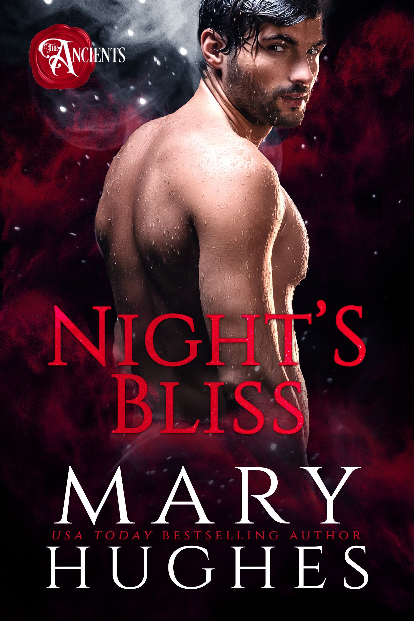 Night's Bliss book cover