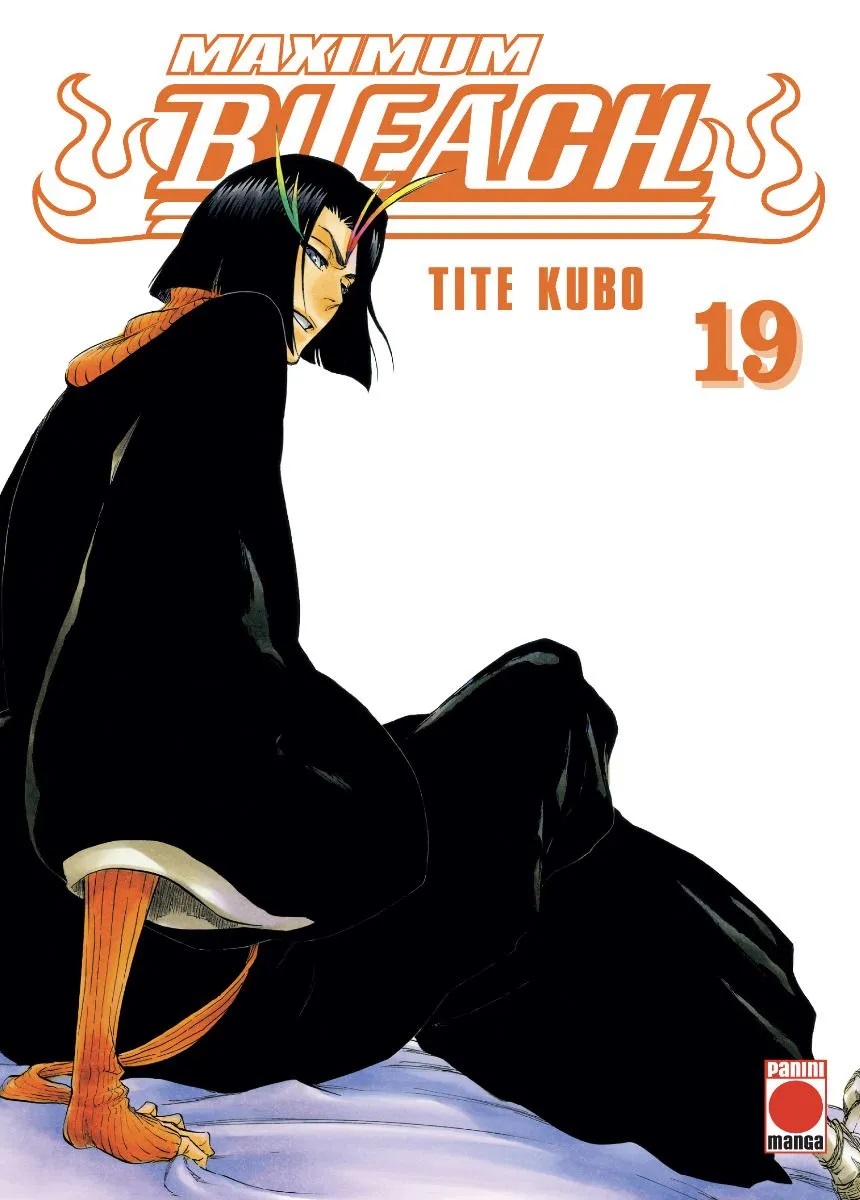 Maximum Bleach #19 book cover