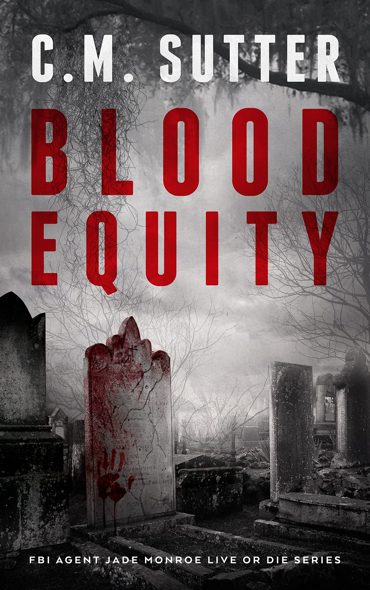 Blood Equity book cover
