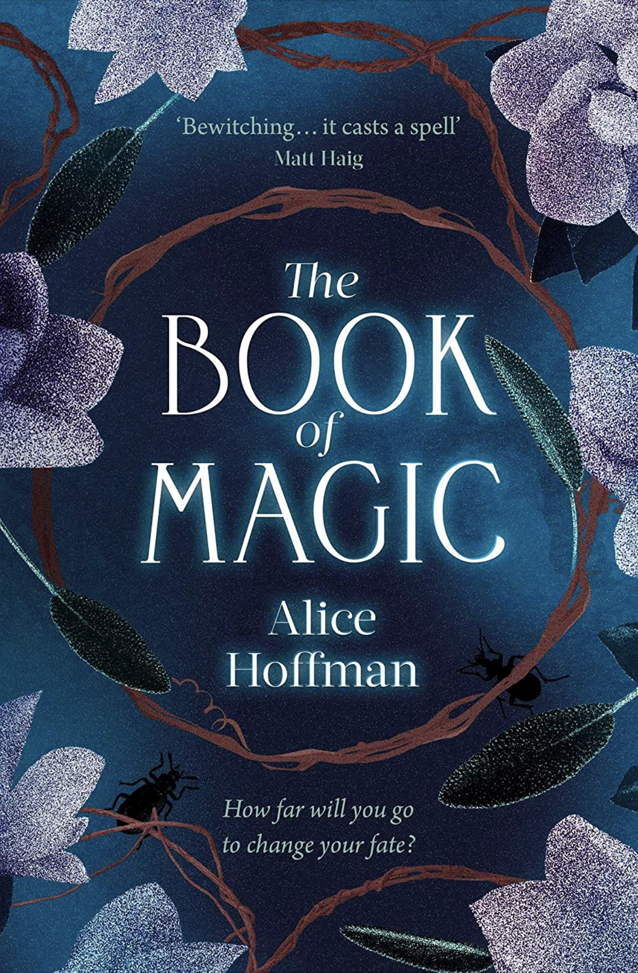 The Book of Magic (Practical Magic, #2)