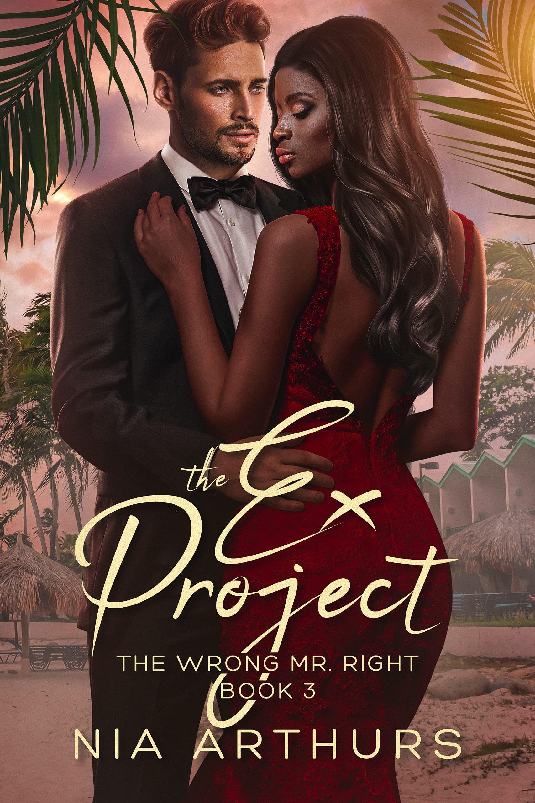 The Ex Project book cover