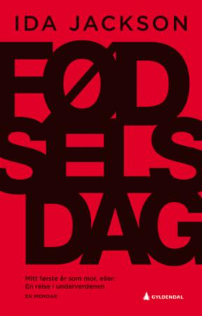 Fødselsdag. Mitt første år som mor, eller En reise i underverdenen book cover