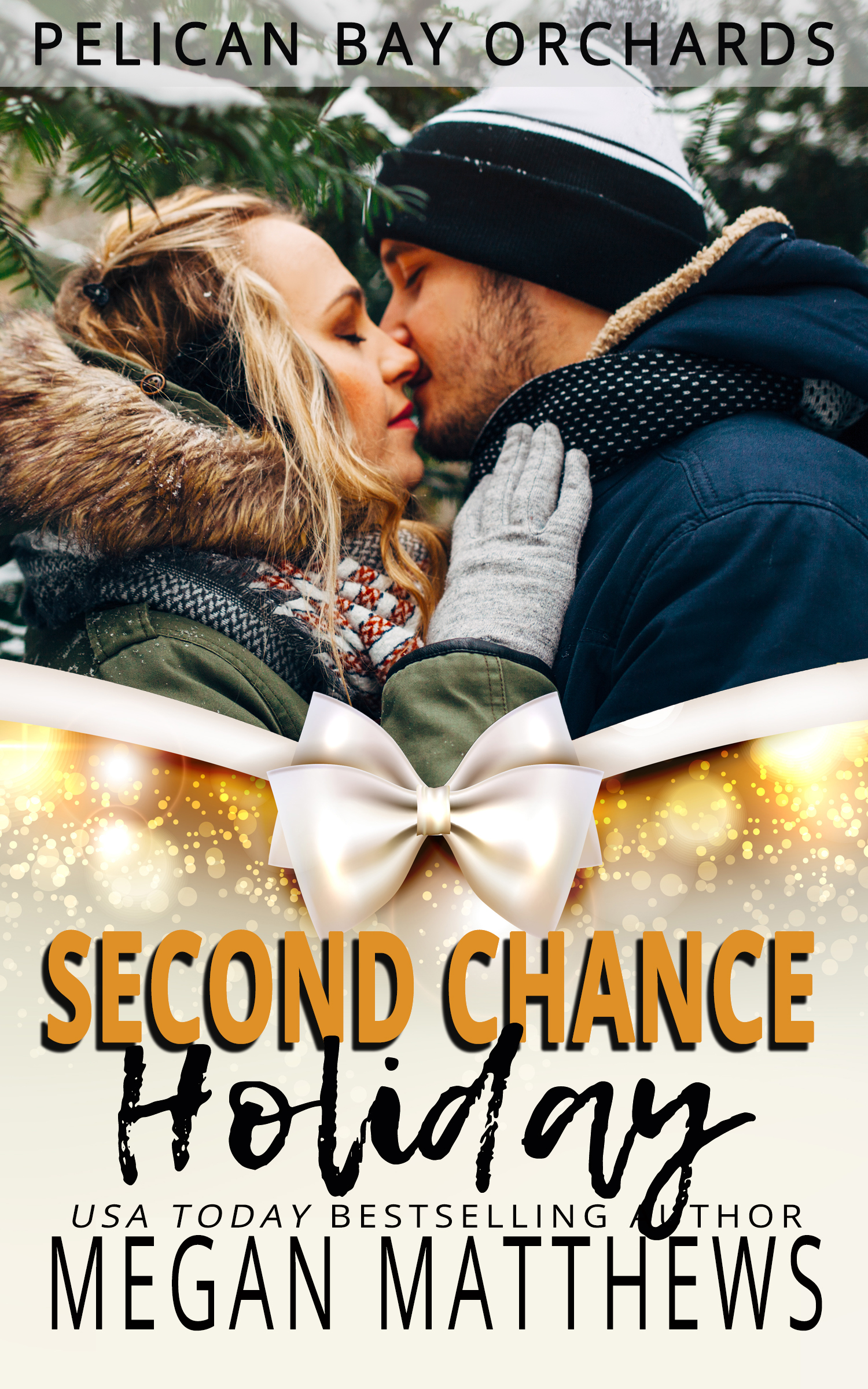 Second Chance Holiday book cover