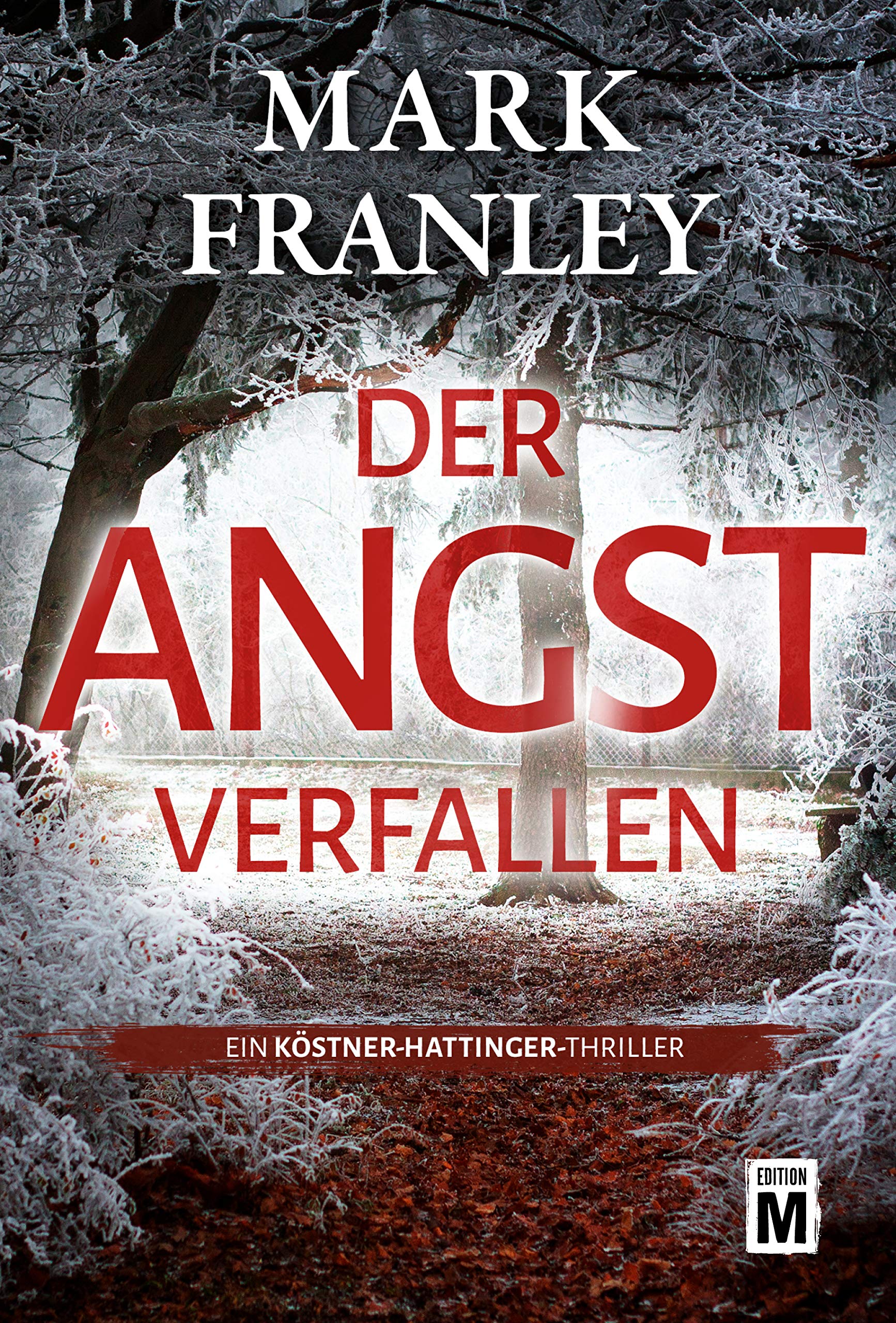 Der Angst verfallen (Ein Köstner-Hattinger-Thriller 2)