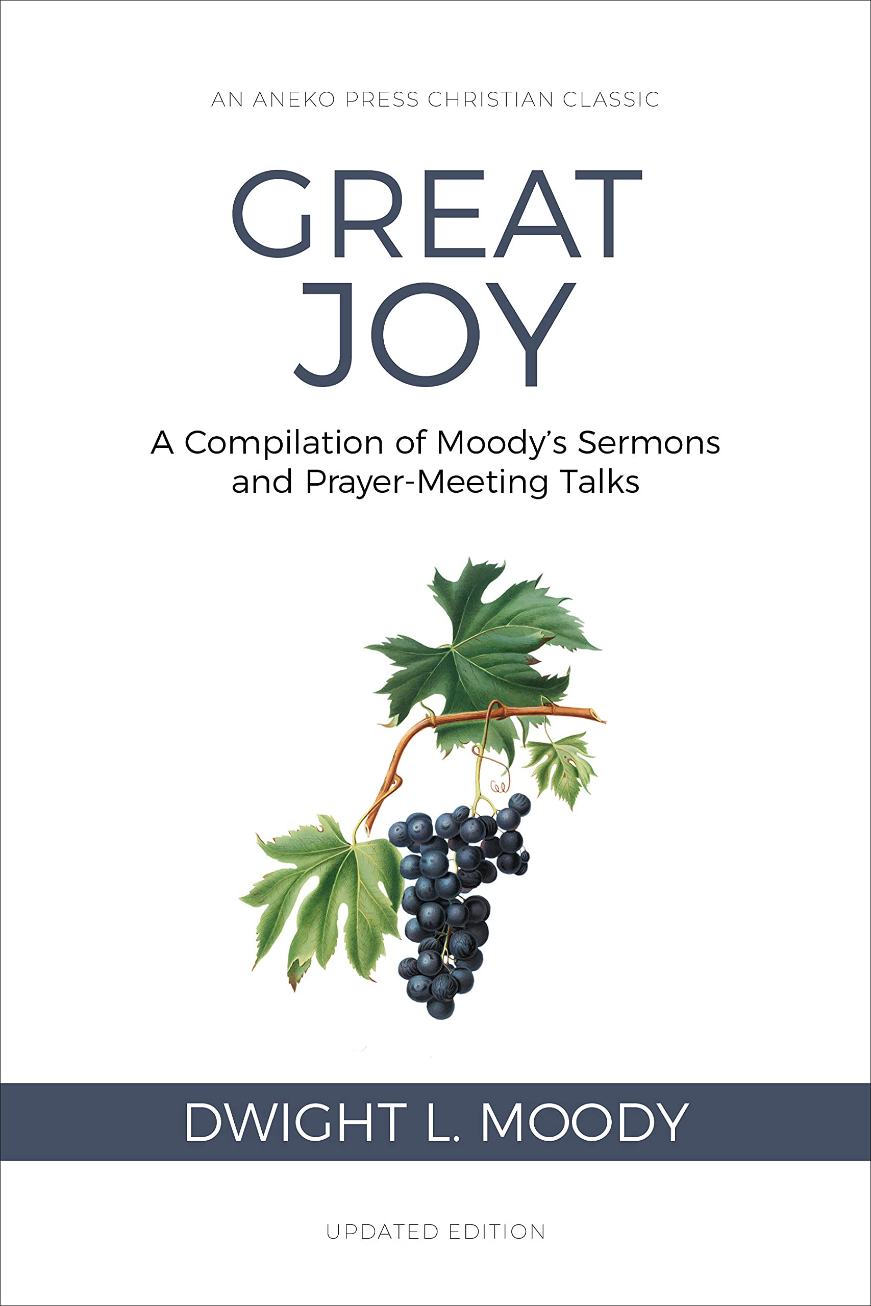 Great Joy (Illustrated, Annotated) book cover