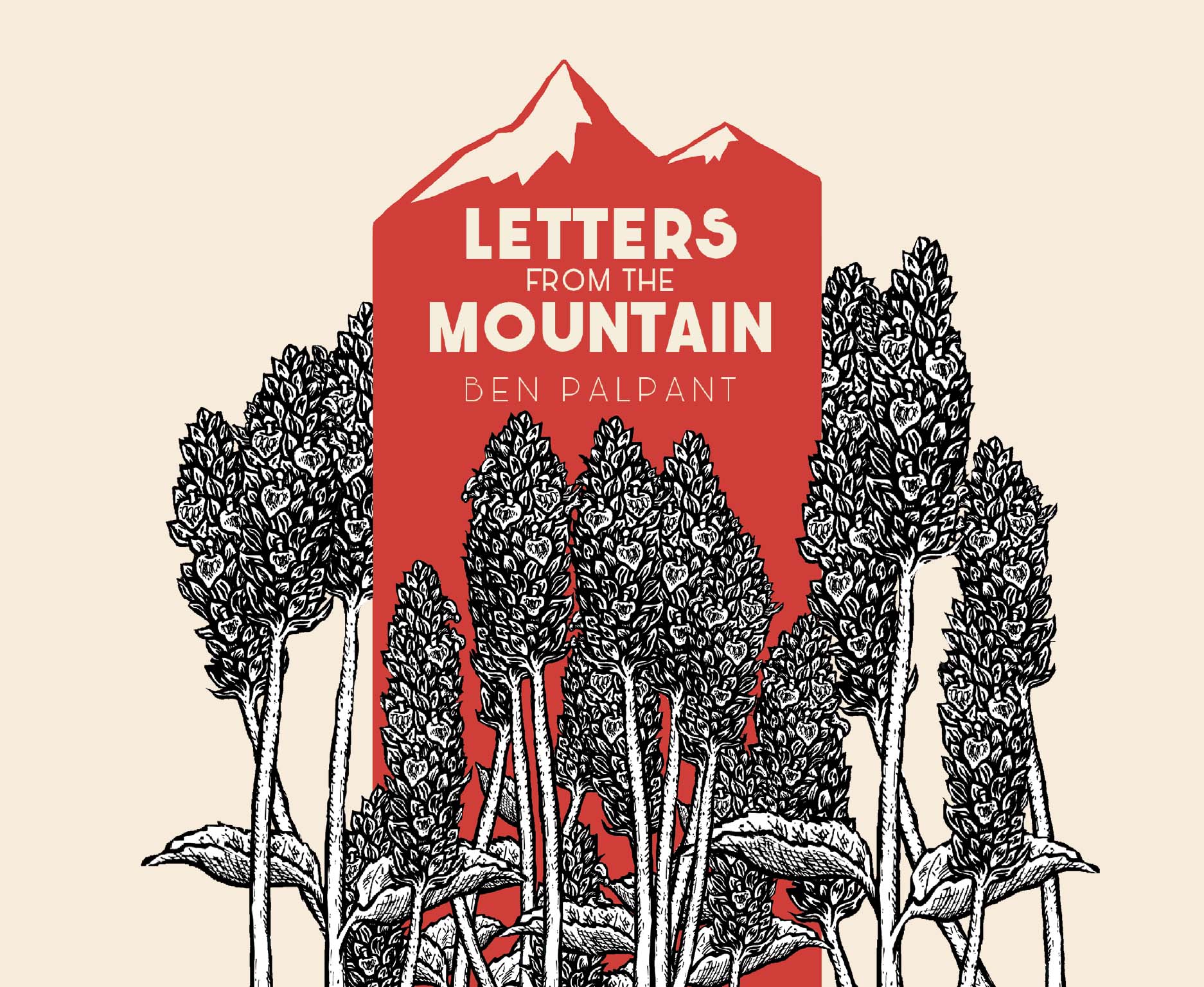 Letters From the Mountain