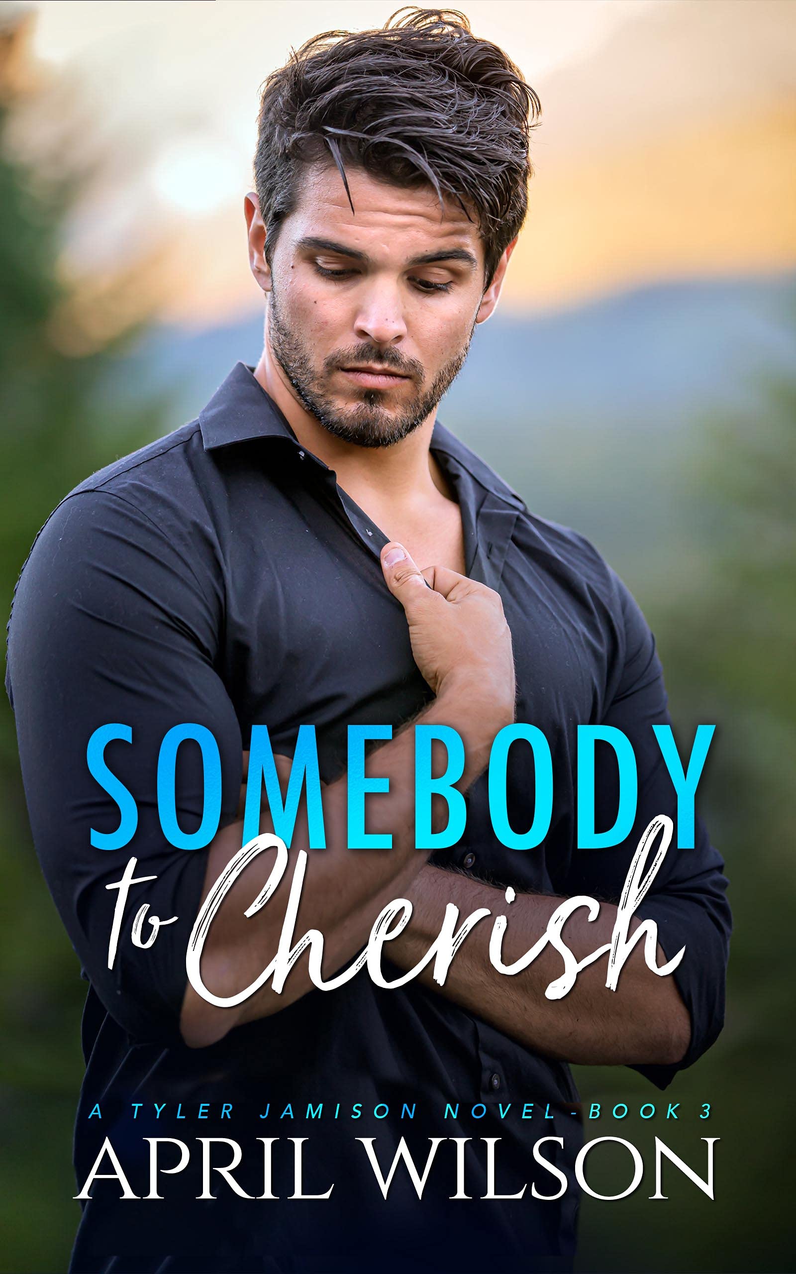 Somebody to Cherish book cover