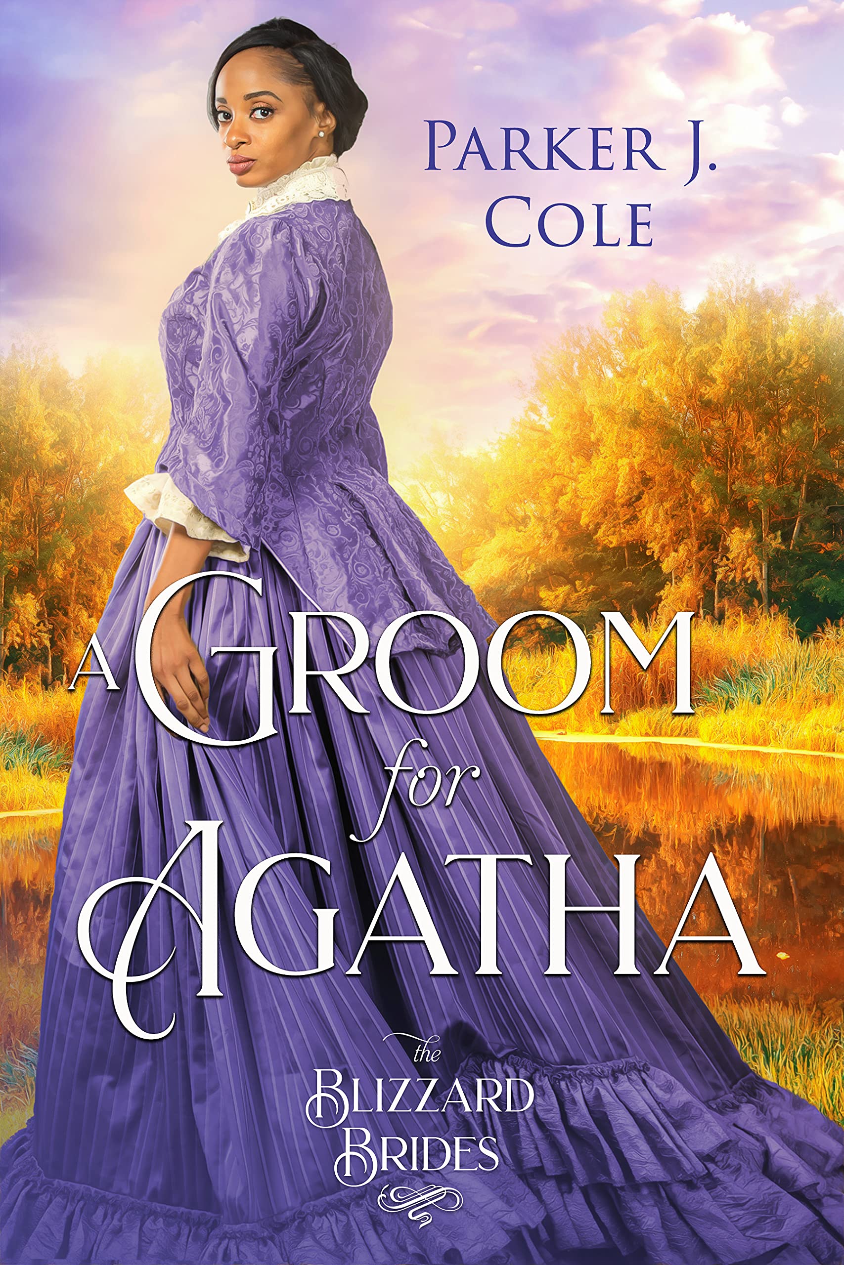 A Groom for Agatha book cover