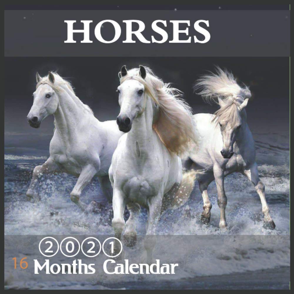 2021 Horses Calendar: 2021 Wall & Office Calendar, 16 Month Calendar