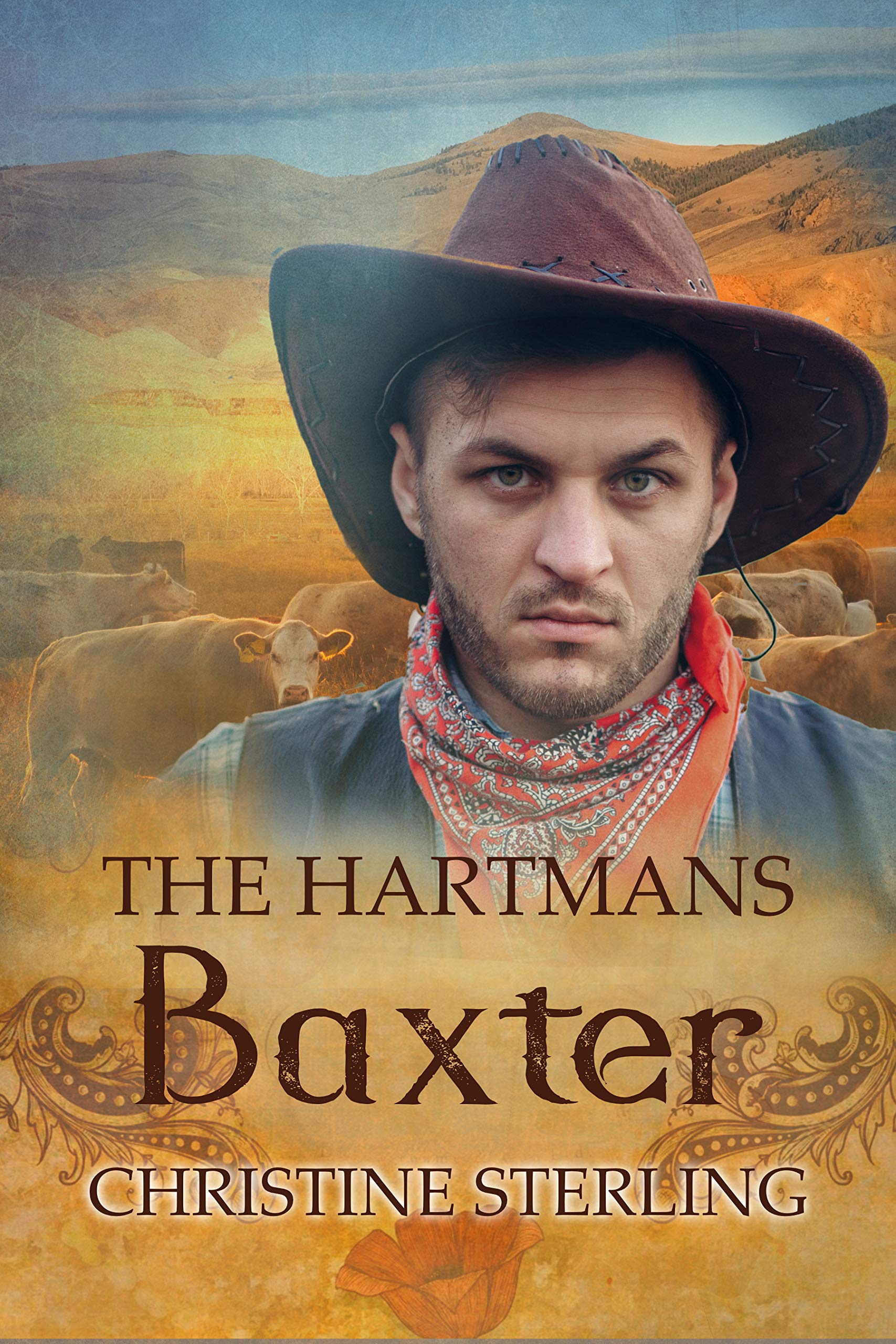 Baxter (The Hartmans #2) by Christine Sterling | Goodreads