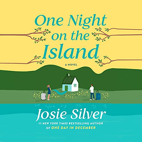 One Night on the Island