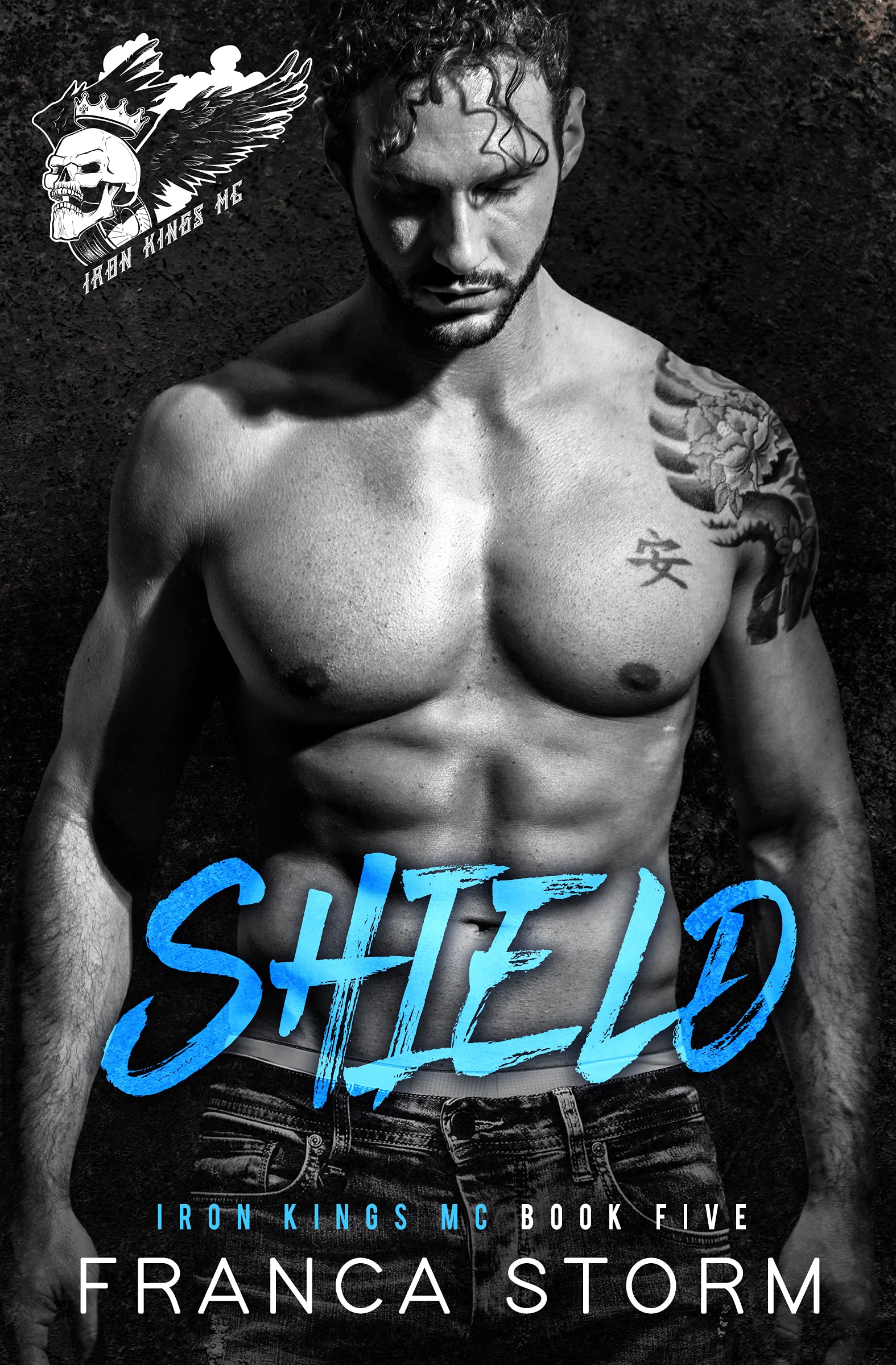 Shield book cover