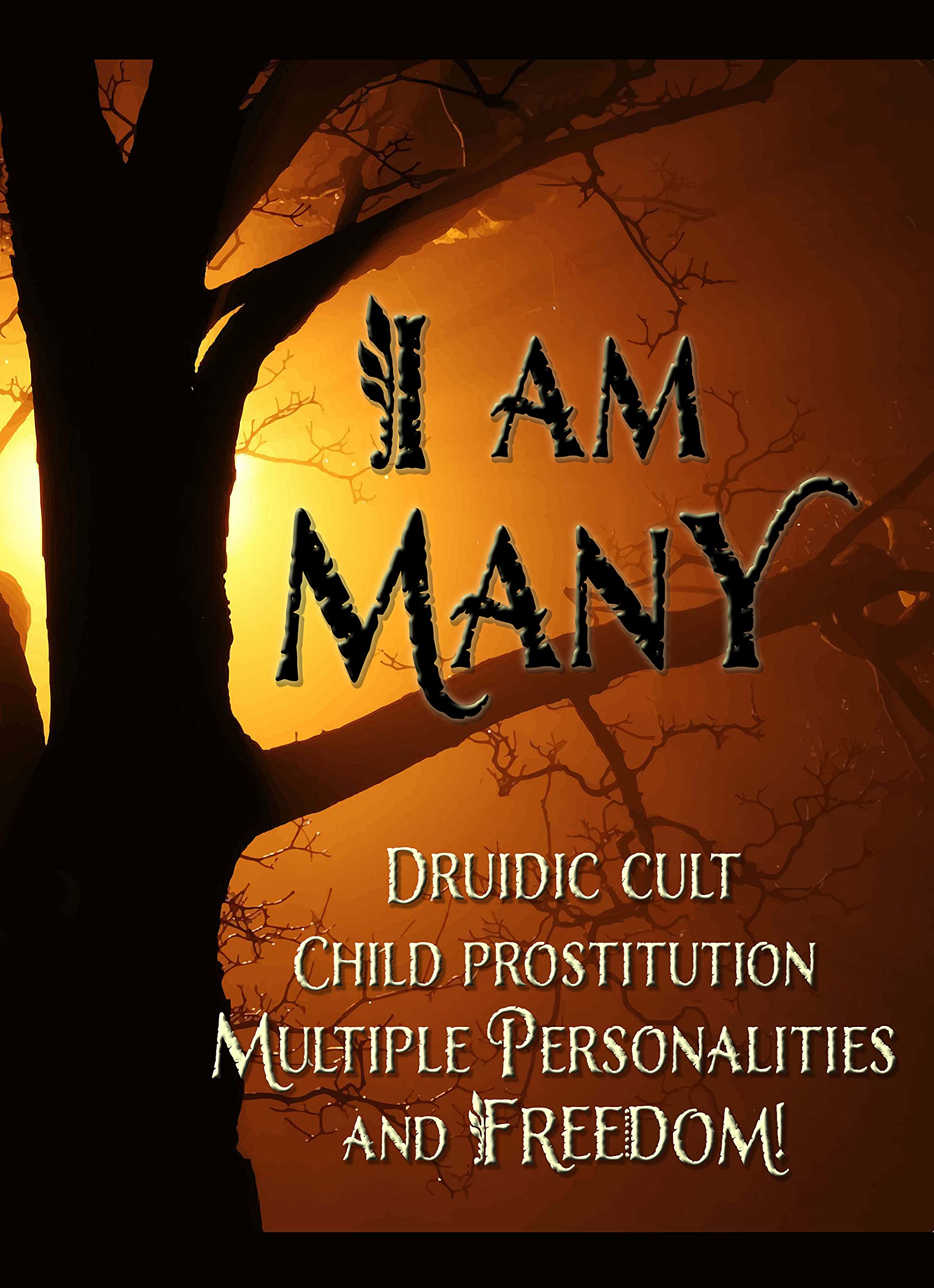 I am Many: Druidic cult and incest; Child prostitution and Sexual slavery; Multiple personalities and FREEDOM!