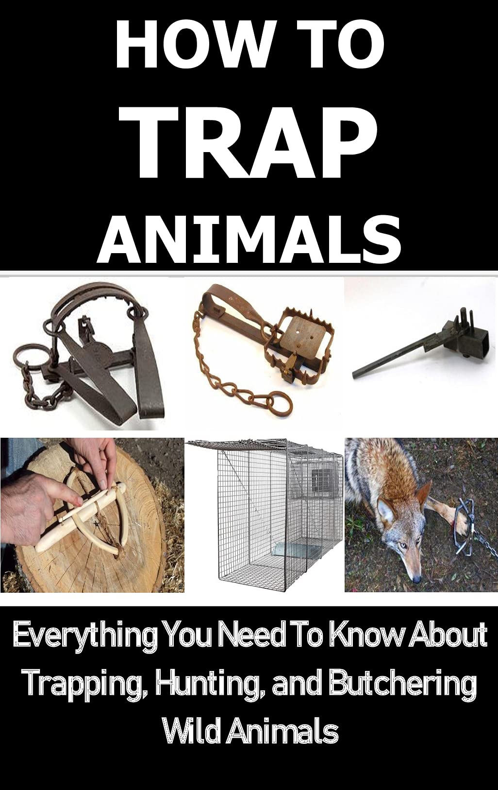 HOW TO TRAP ANIMALS Everything You Need To Know About Trapping