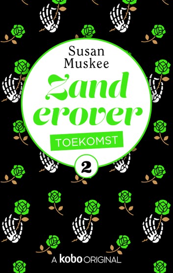 Zand erover book cover 2