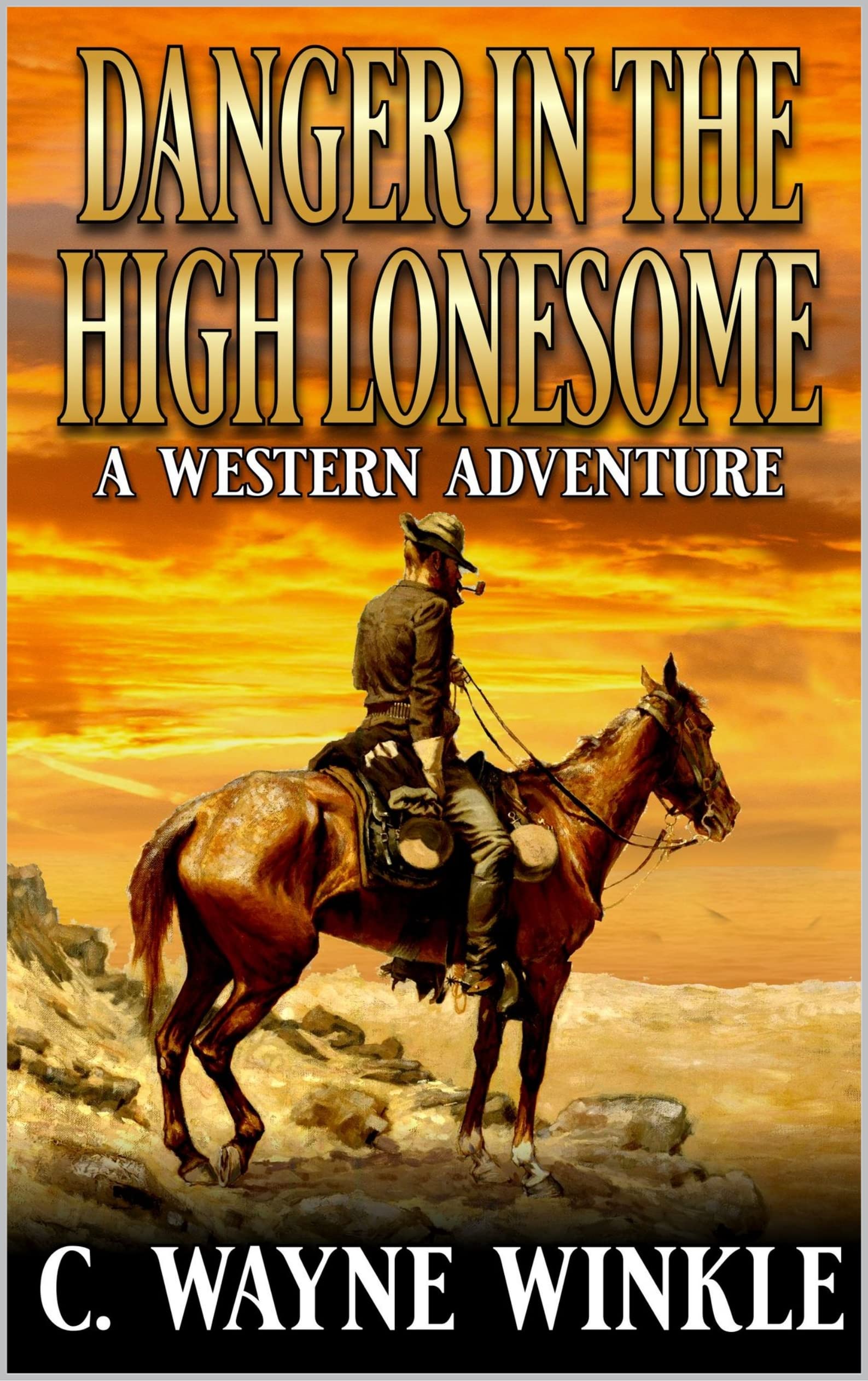 Danger In The High Lonesome book cover