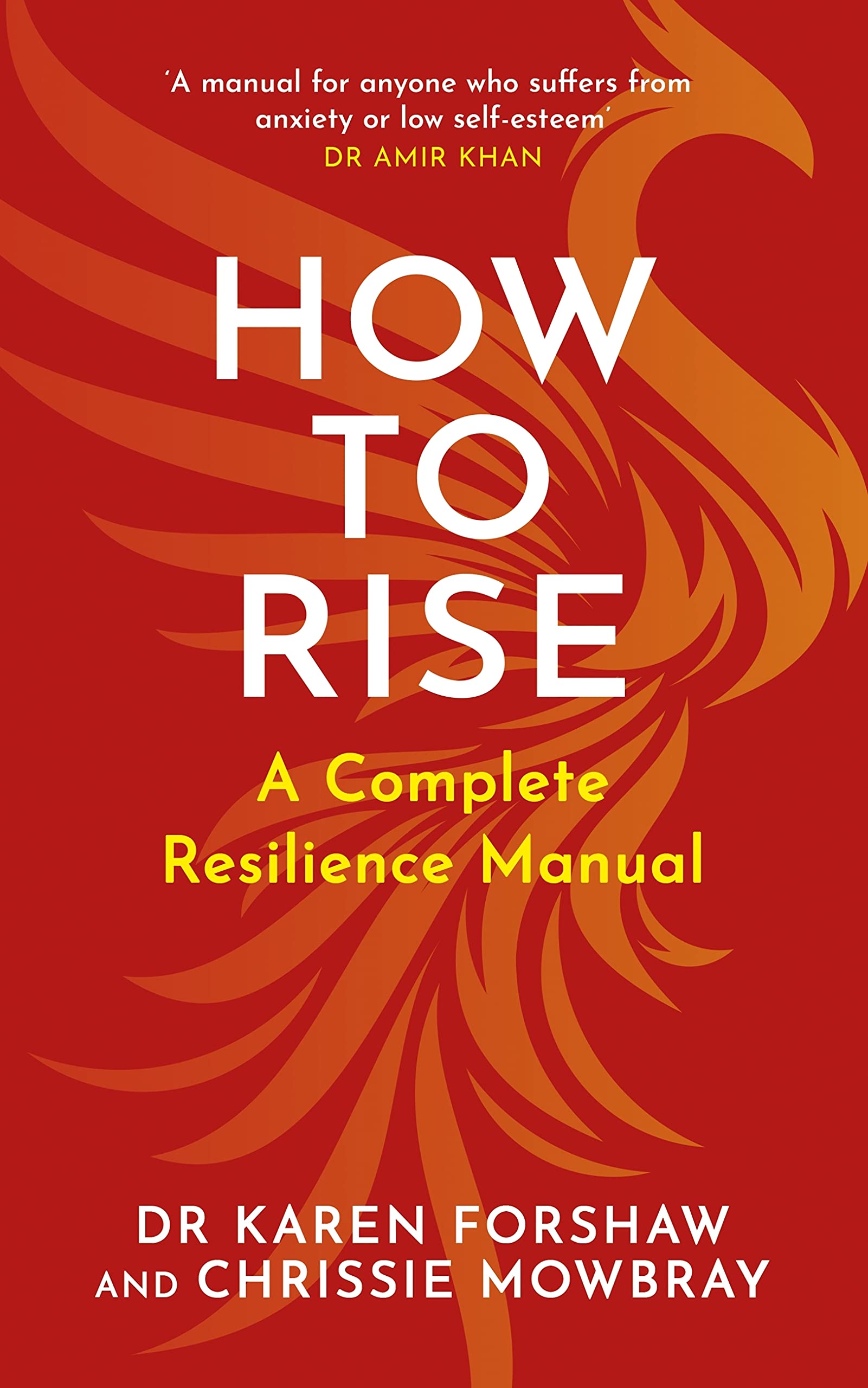 How to Rise: A Complete Resilience Manual by Chrissie Mowbray | Goodreads