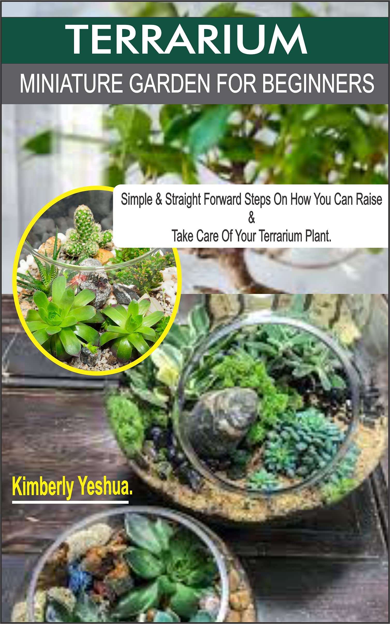 TERRARIUM MINIATURE GARDEN FOR BEGINNERS. Simple & Straight Forward