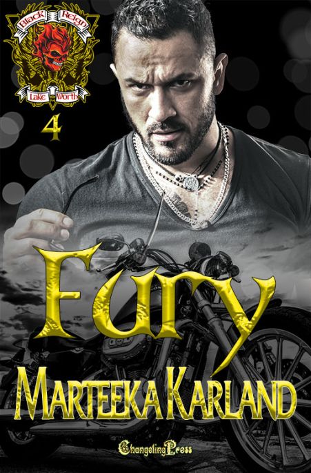 Fury book cover