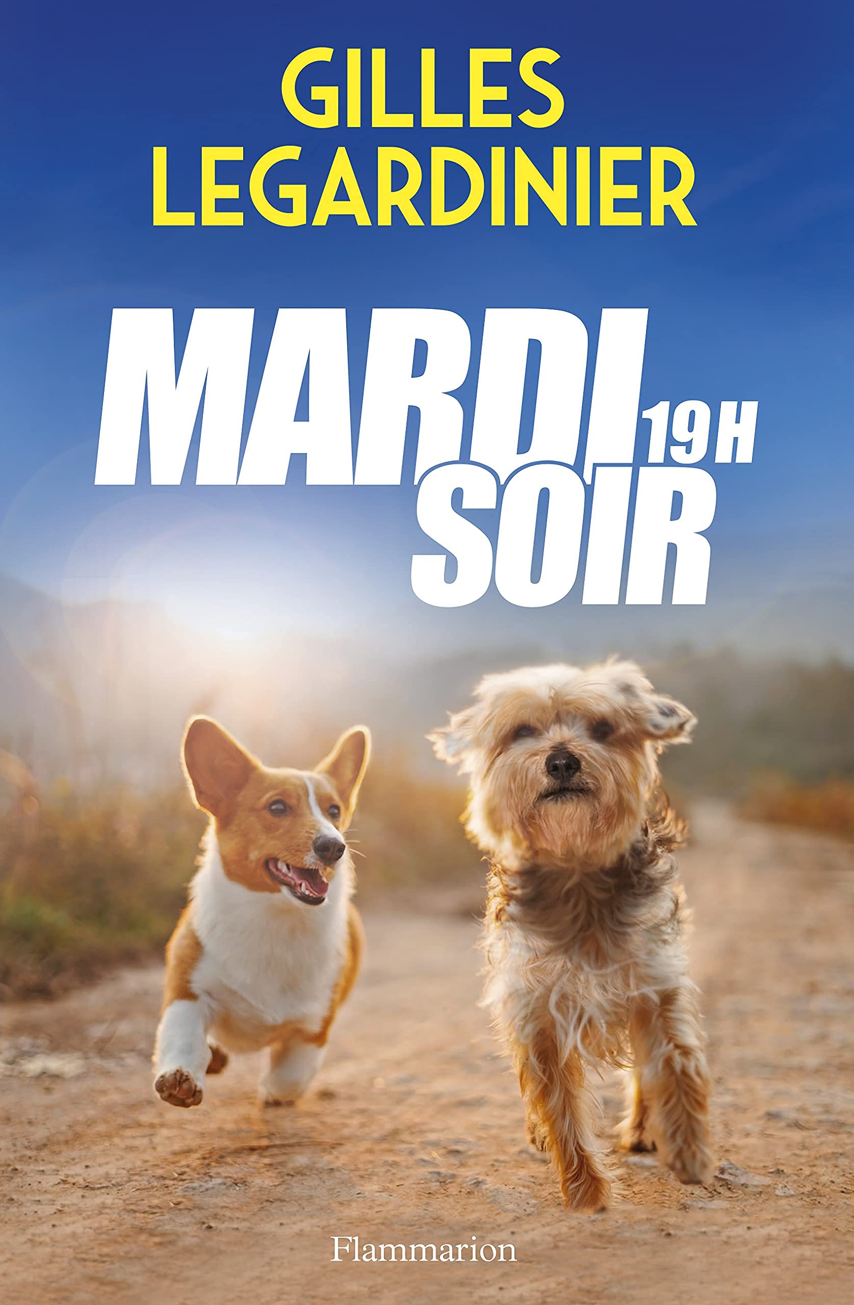 Mardi soir, 19H book cover