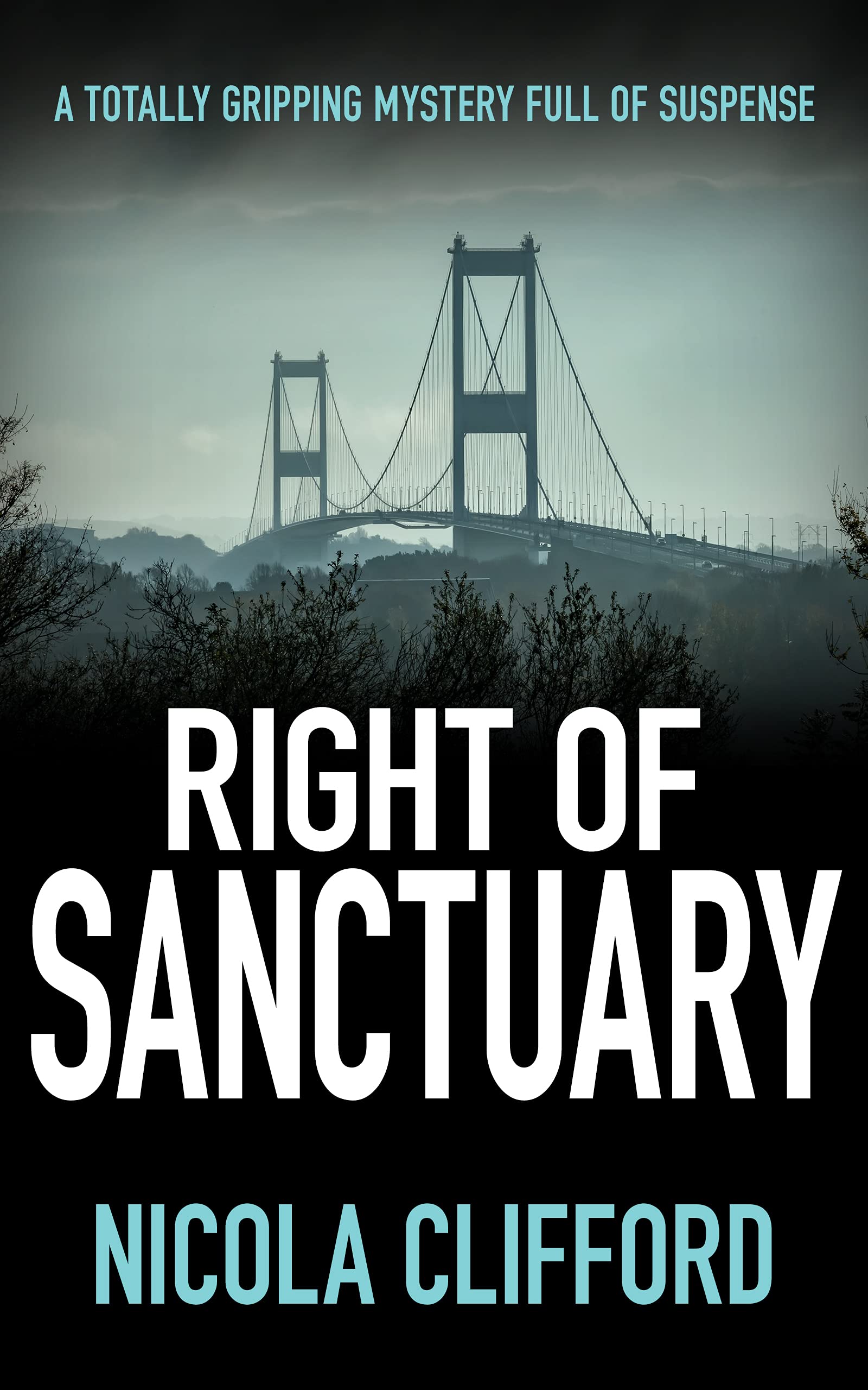 Right of Sanctuary: A totally gripping mystery full of suspense