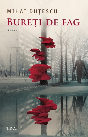 Bureți de fag book cover
