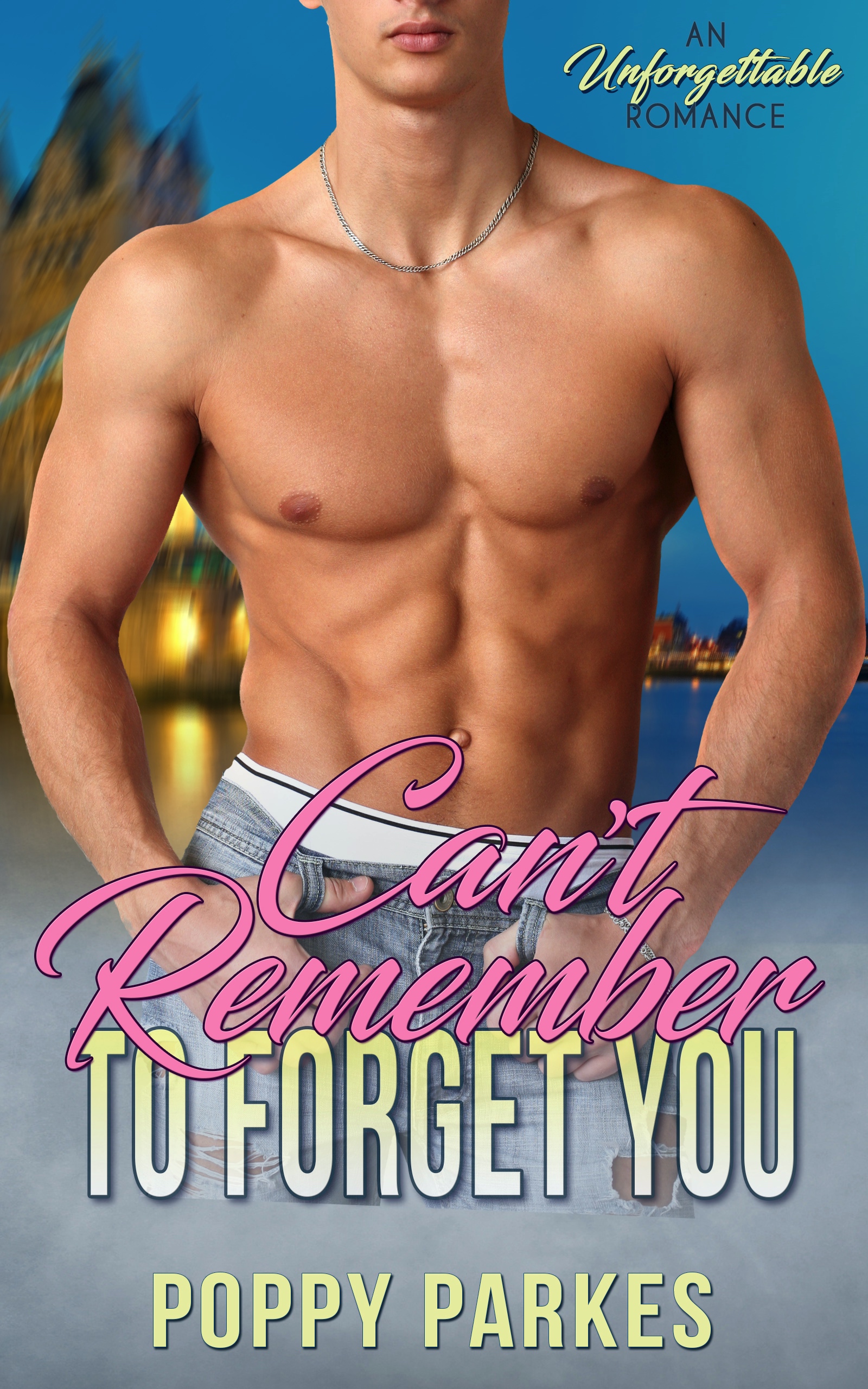 Can't Remember to Forget you book cover