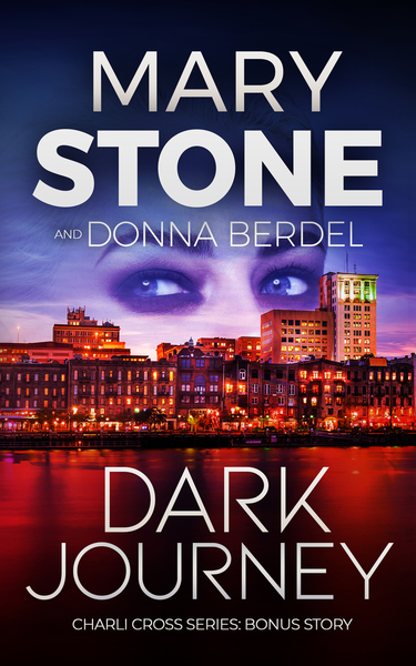 Dark Journey book cover