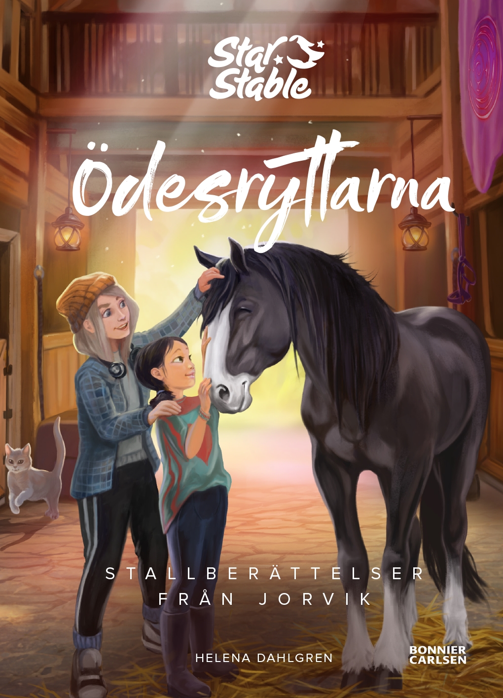 Stallberättelser från Jorvik book cover