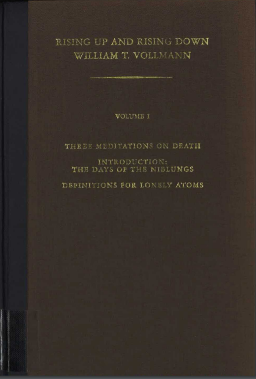 Rising Up and Rising Down, Volume I book cover